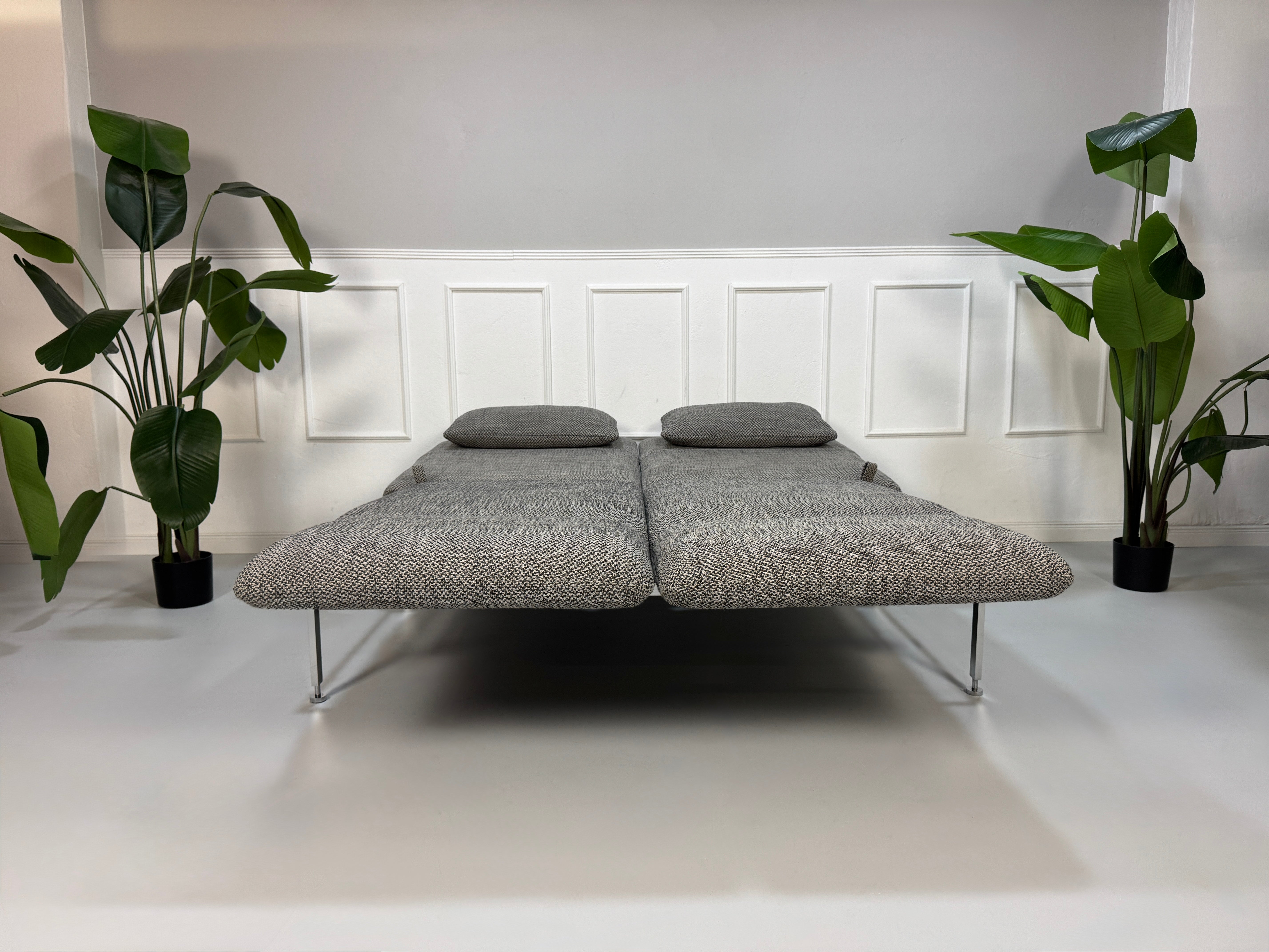 Gebrauchtes Brühl Roro Designer Stoff Sofa in der Farbe Grau vor einer Wand, stilvoll und modern eingerichtet.