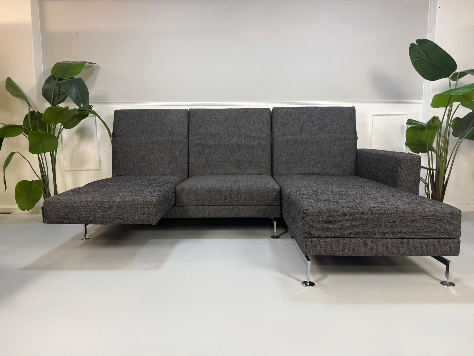 Gebrauchtes graues Brühl Moule Designer Stoff Sofa vor einer Wand, stilvoll und modern eingerichtet.