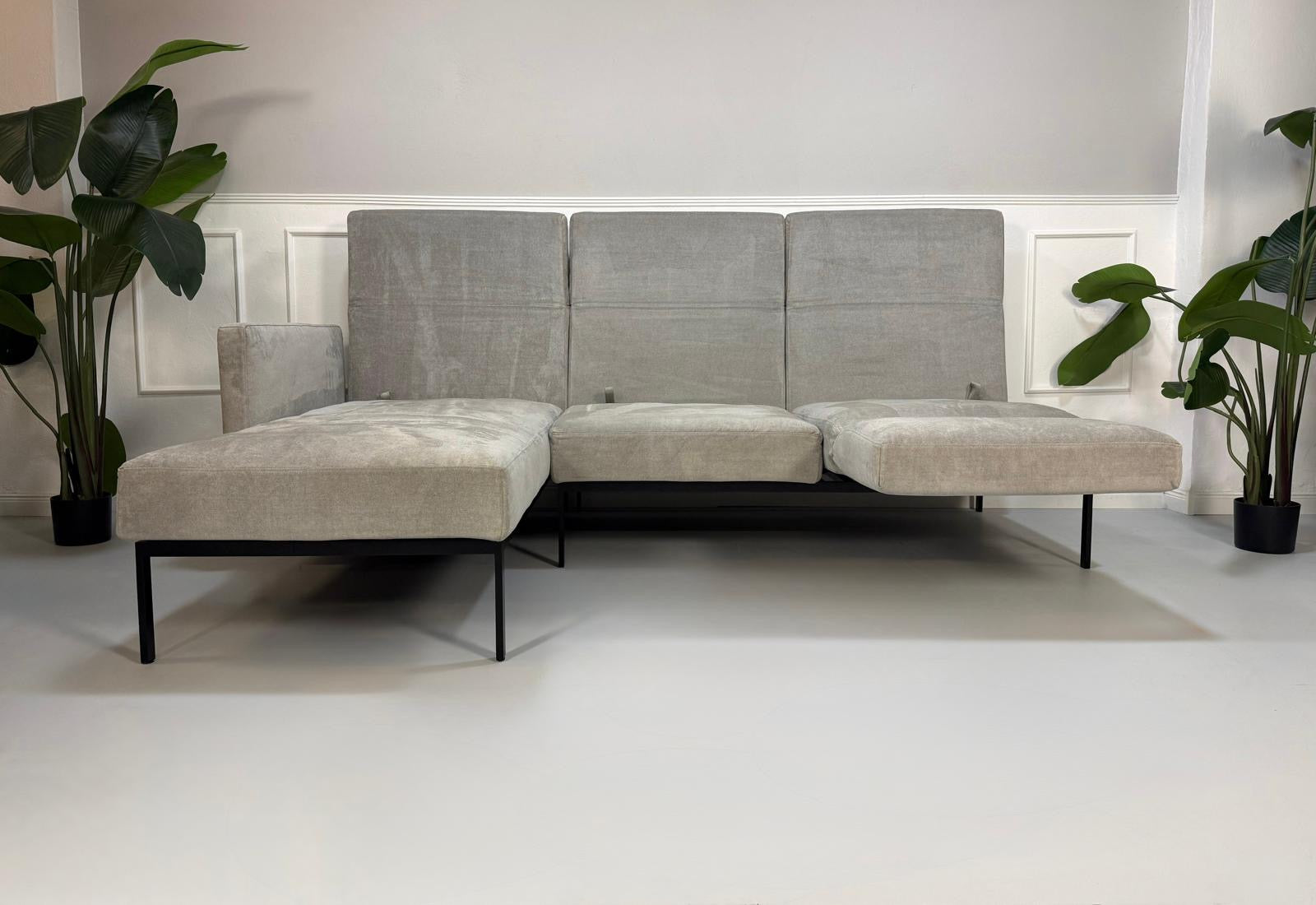 Gebrauchtes graues Brühl Roro Soft Designer Stoff Sofa vor einer Wand, stilvoll und modern eingerichtet.