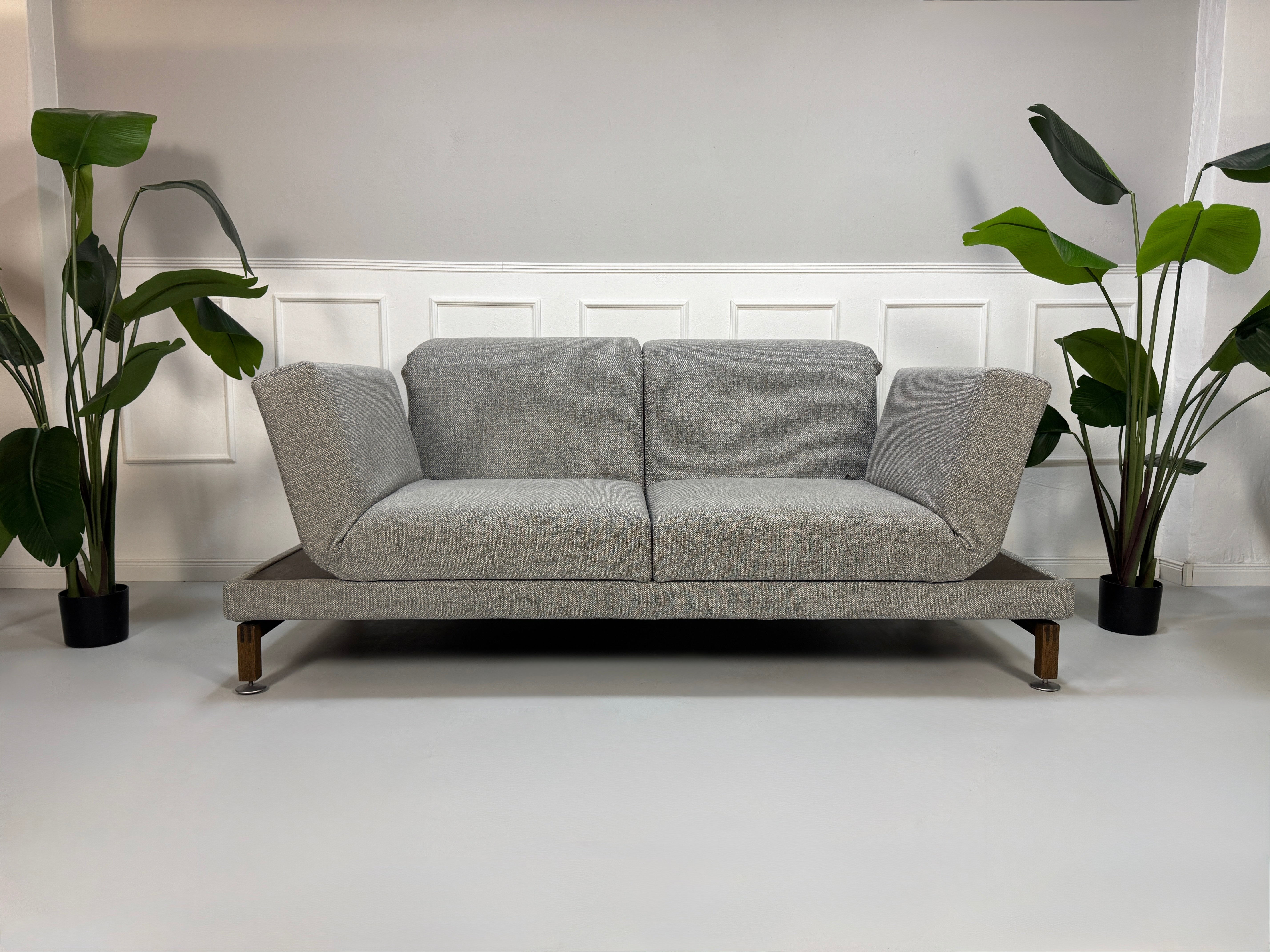 Gebrauchtes Brühl Moule Designer Stoff Sofa in der Farbe Grau vor einer Wand, stilvoll und modern eingerichtet.