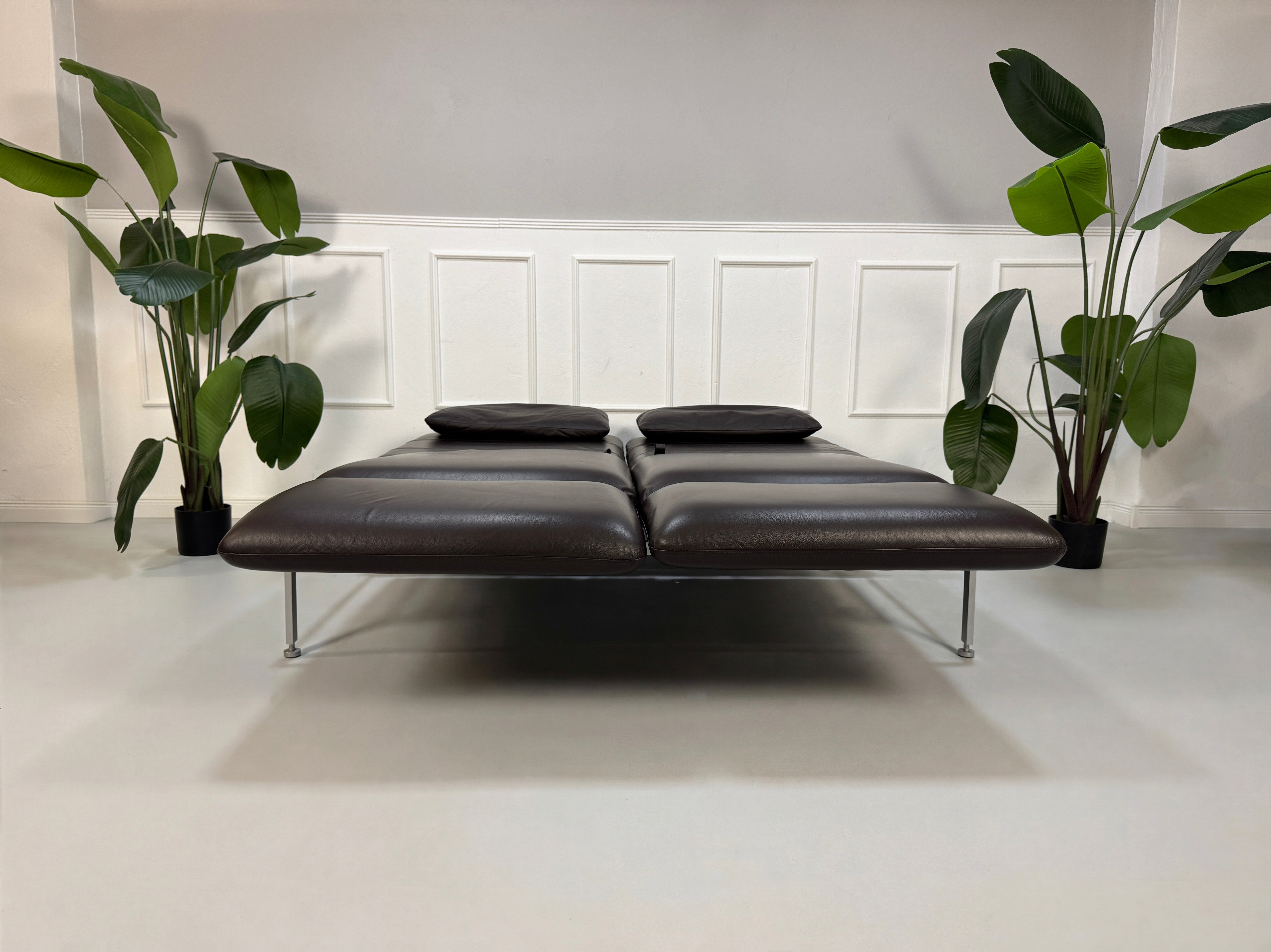 Gebrauchtes Brühl Roro Designer Leder Sofa in der Farbe Braun vor einer Wand, stilvoll und modern eingerichtet.