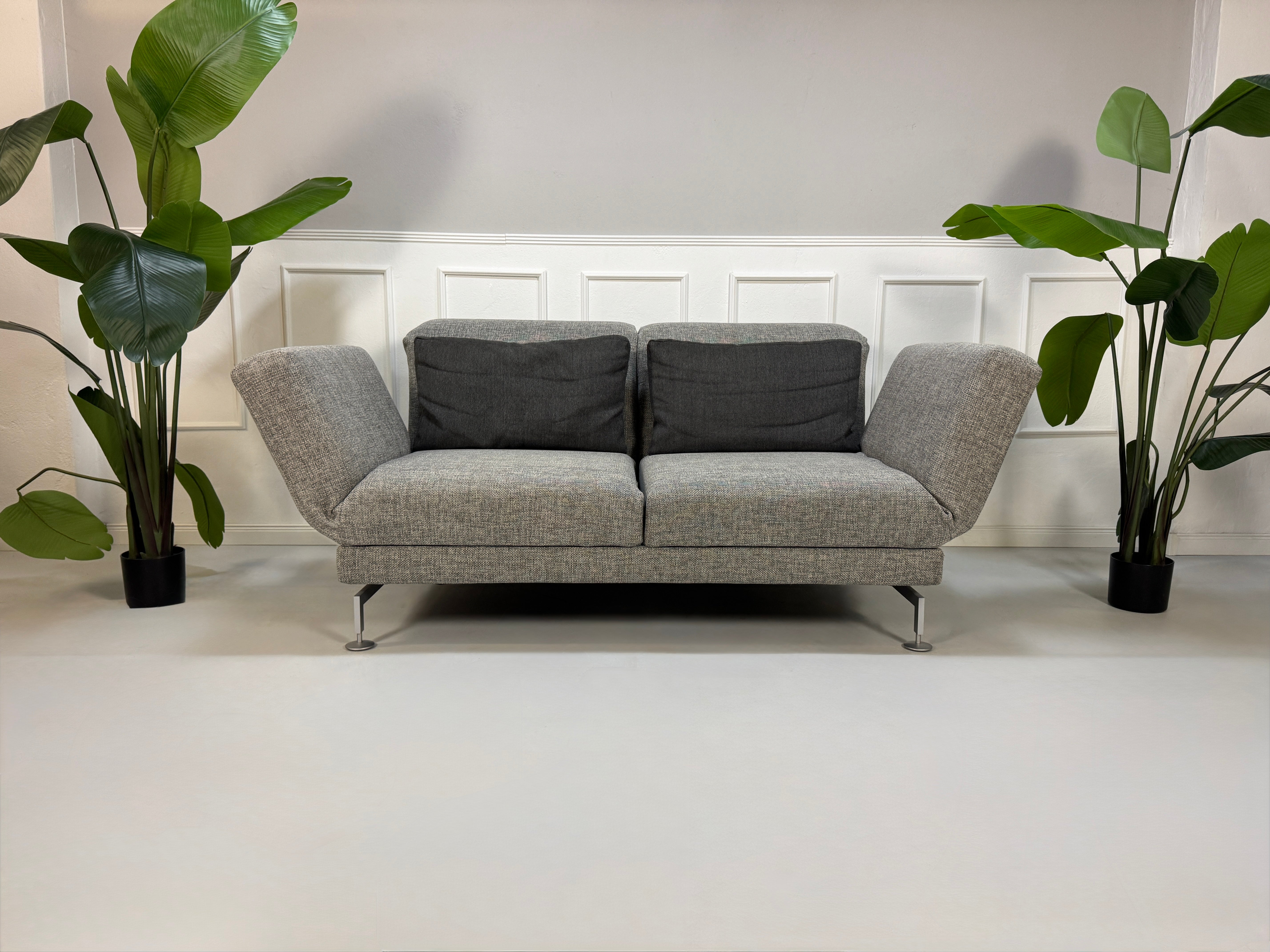 Gebrauchtes Brühl Moule Designer Stoff Sofa in der Farbe Grau vor einer Wand, stilvoll und modern eingerichtet.