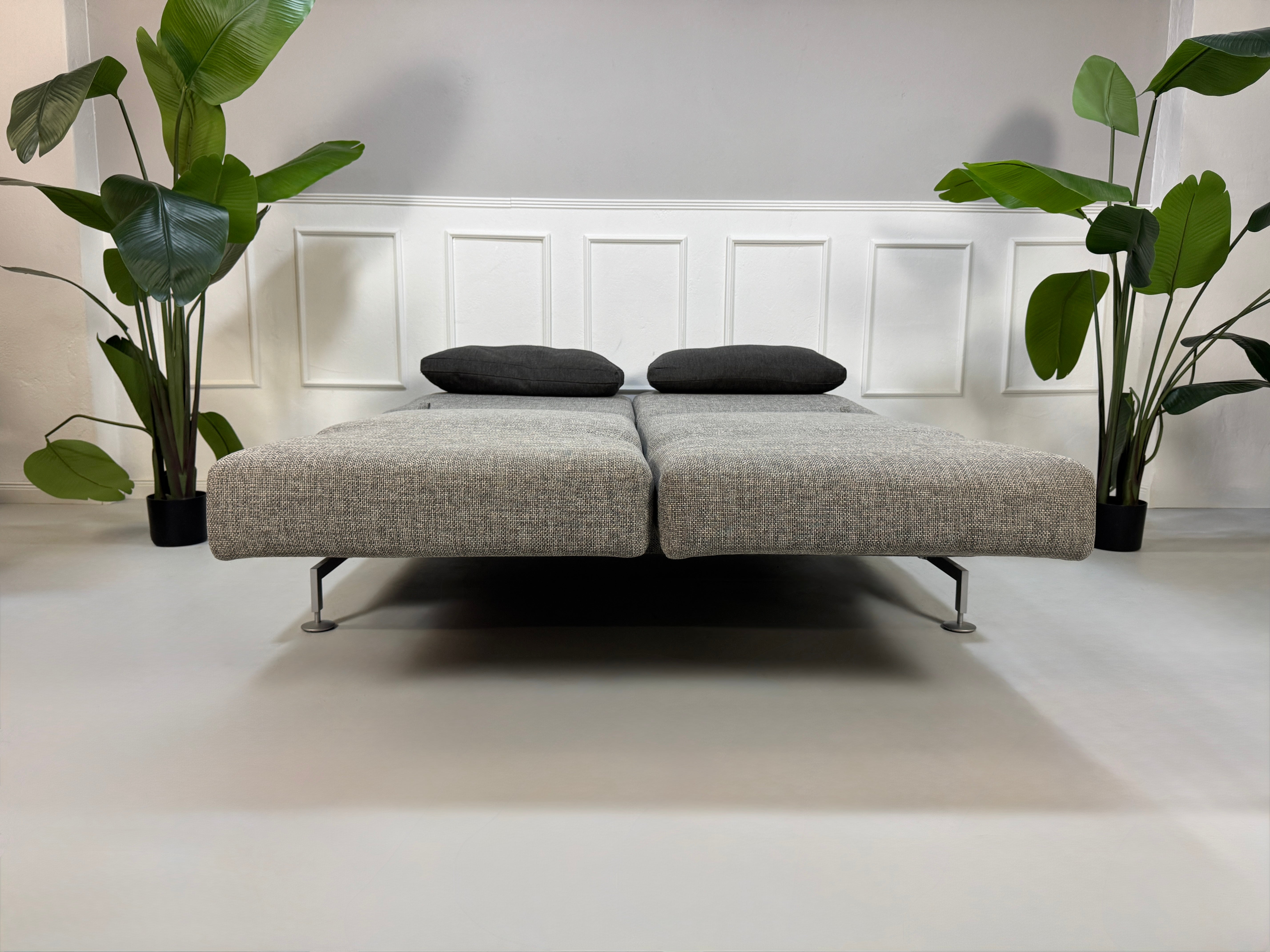 Gebrauchtes Brühl Moule Designer Stoff Sofa in der Farbe Grau vor einer Wand, stilvoll und modern eingerichtet.