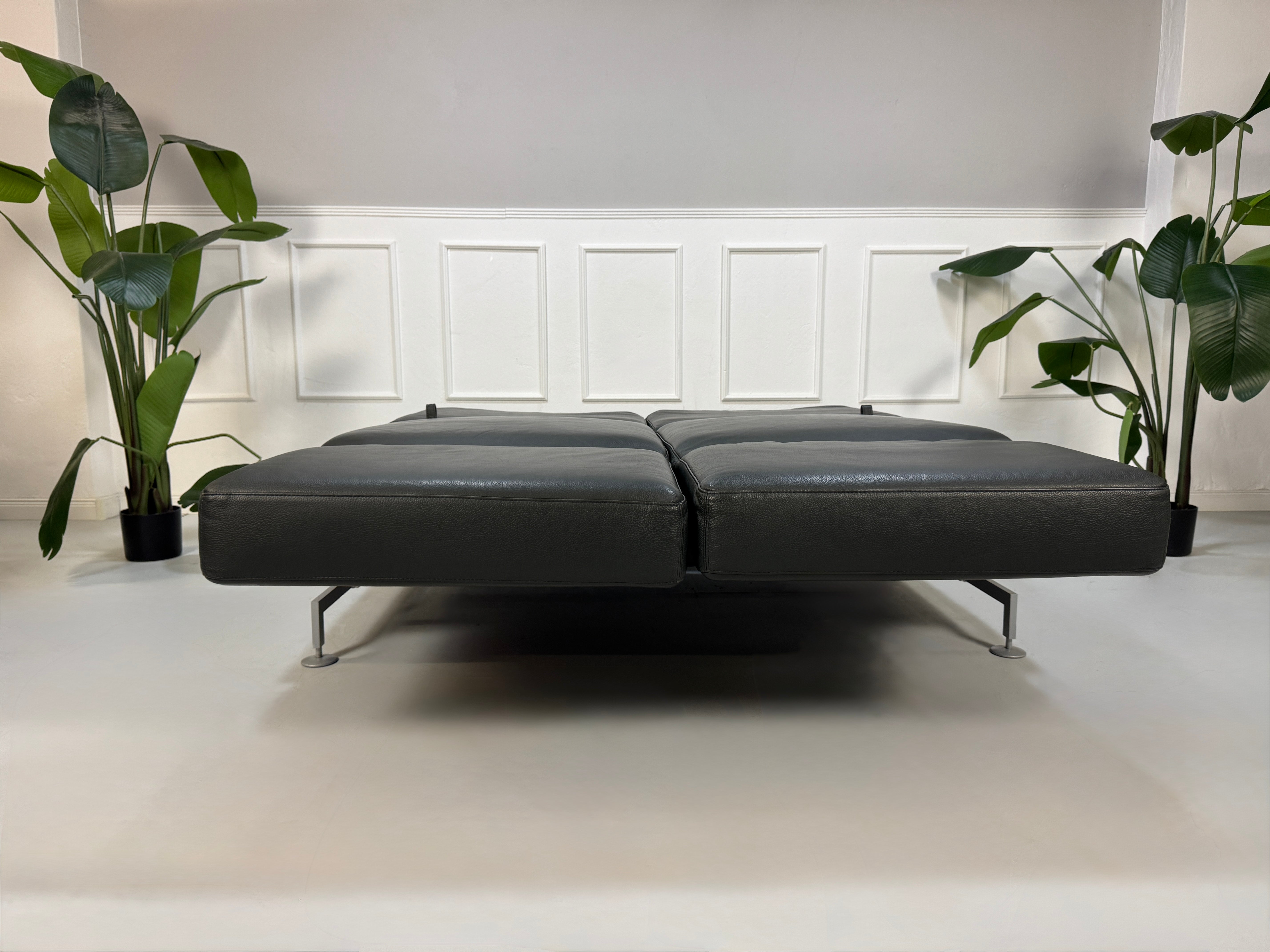Gebrauchtes Brühl Moule Designer Leder Sofa in der Farbe Grau vor einer Wand, stilvoll und modern eingerichtet.