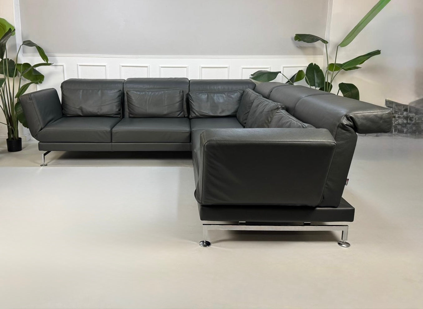 Gebrauchtes graues Brühl Moule Designer Leder Sofa vor einer Wand, stilvoll und modern eingerichtet.