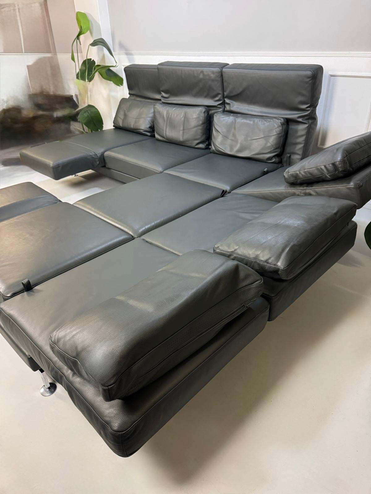 Gebrauchtes graues Brühl Moule Designer Leder Sofa vor einer Wand, stilvoll und modern eingerichtet.