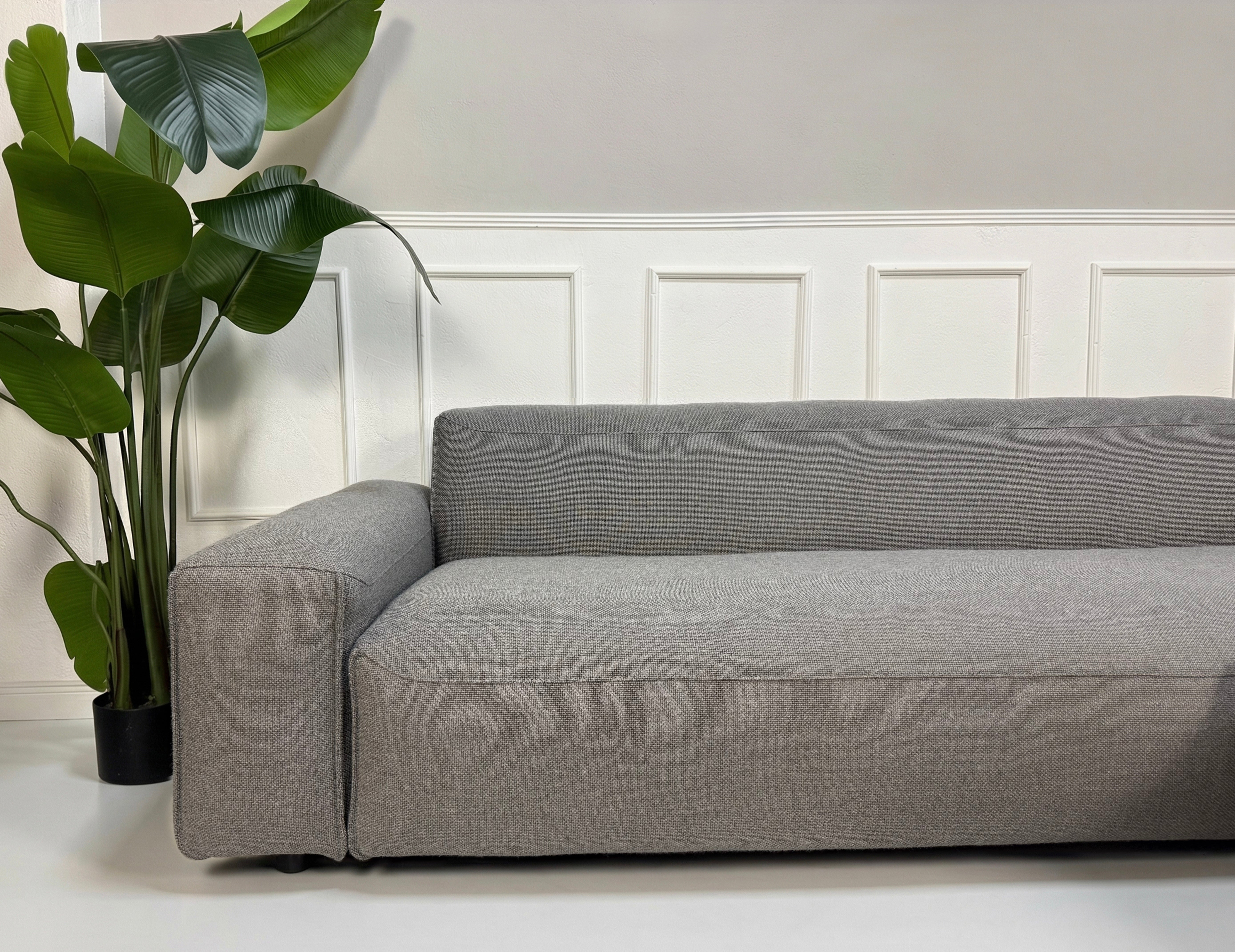 Erneuertes graues Rolf Benz Mio Designer Stoff Sofa vor einer Wand, stilvoll und modern eingerichtet.