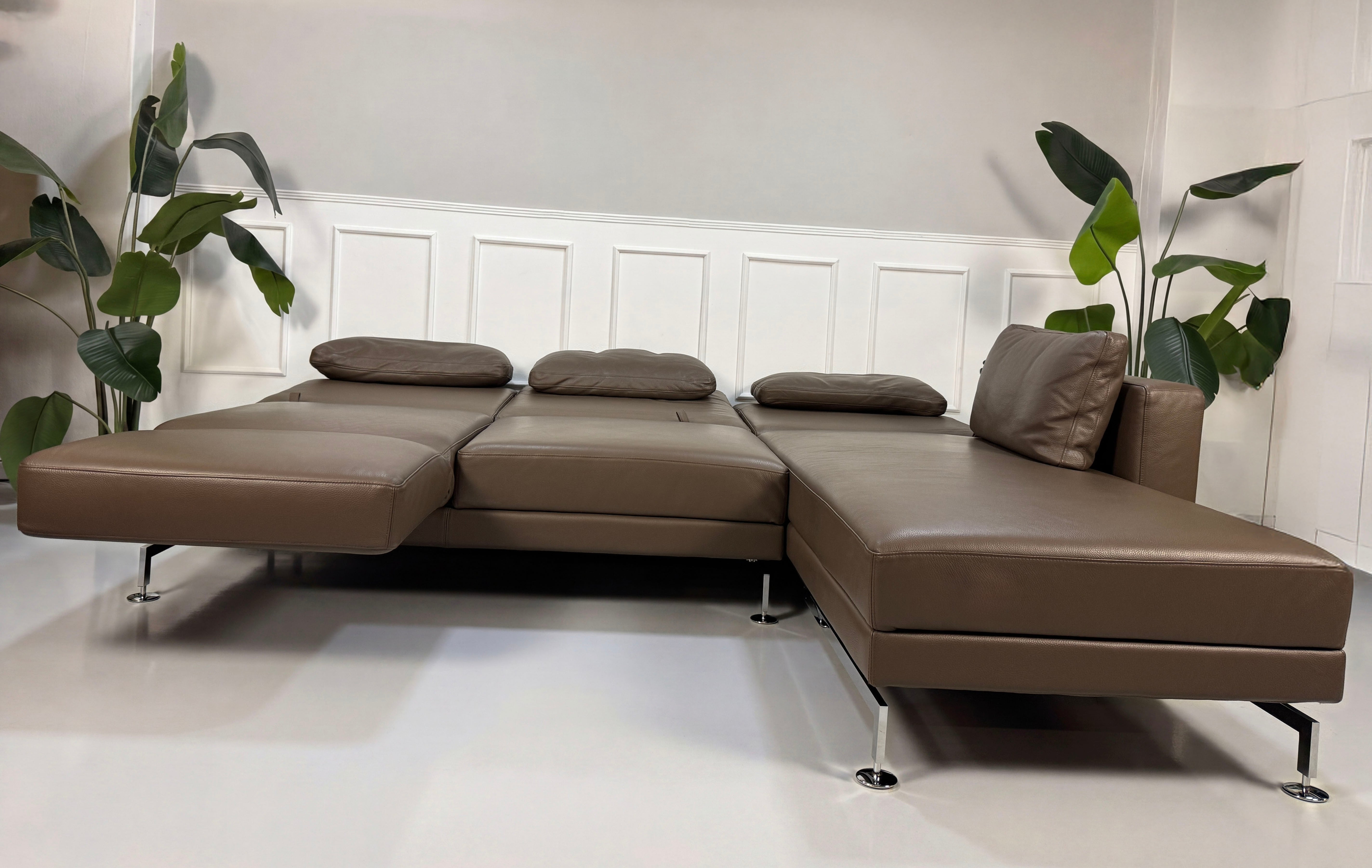 Gebrauchtes braunes Brühl Moule Designer Leder Sofa vor einer Wand, stilvoll und modern eingerichtet.