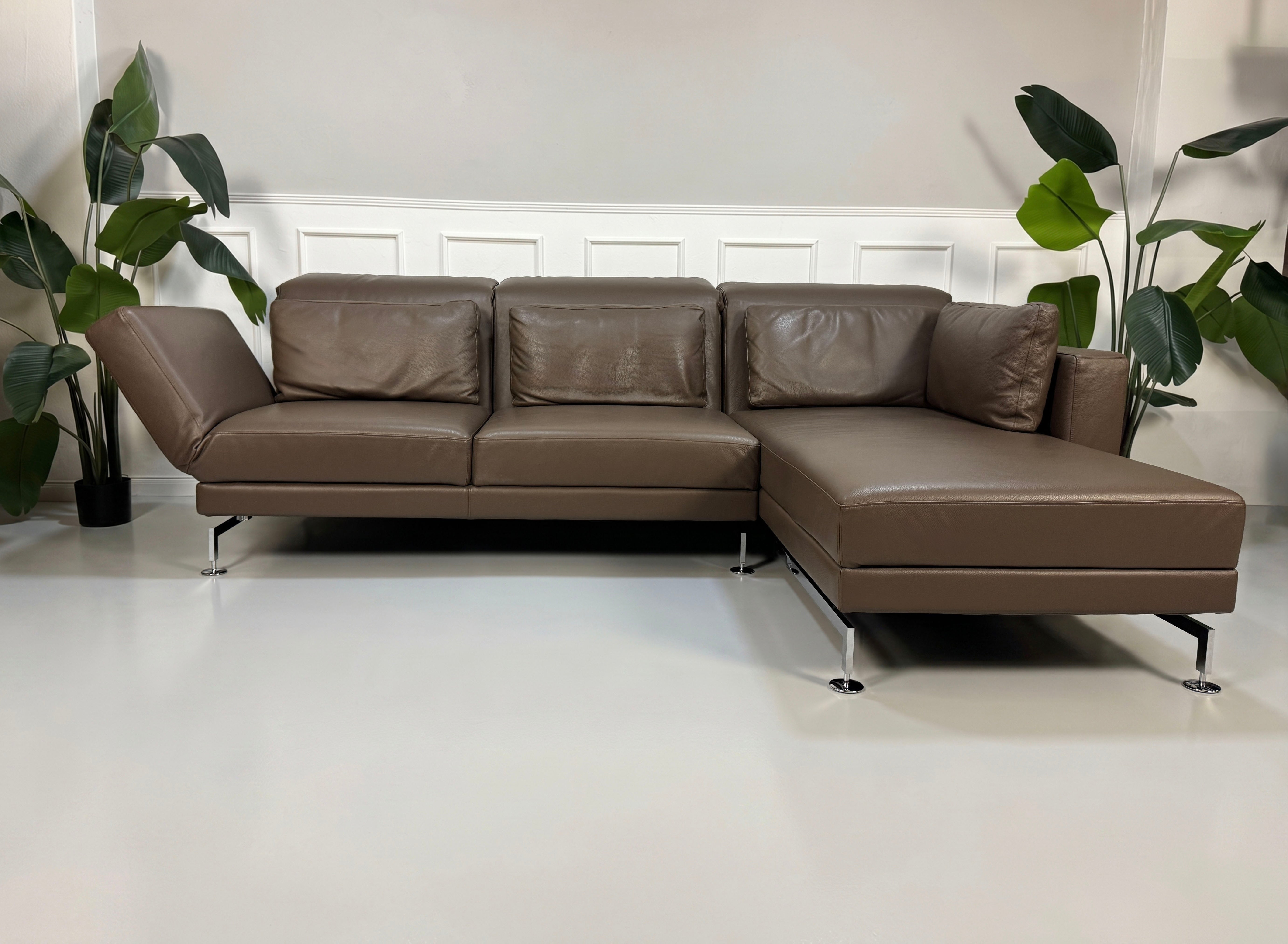Gebrauchtes braunes Brühl Moule Designer Leder Sofa vor einer Wand, stilvoll und modern eingerichtet.