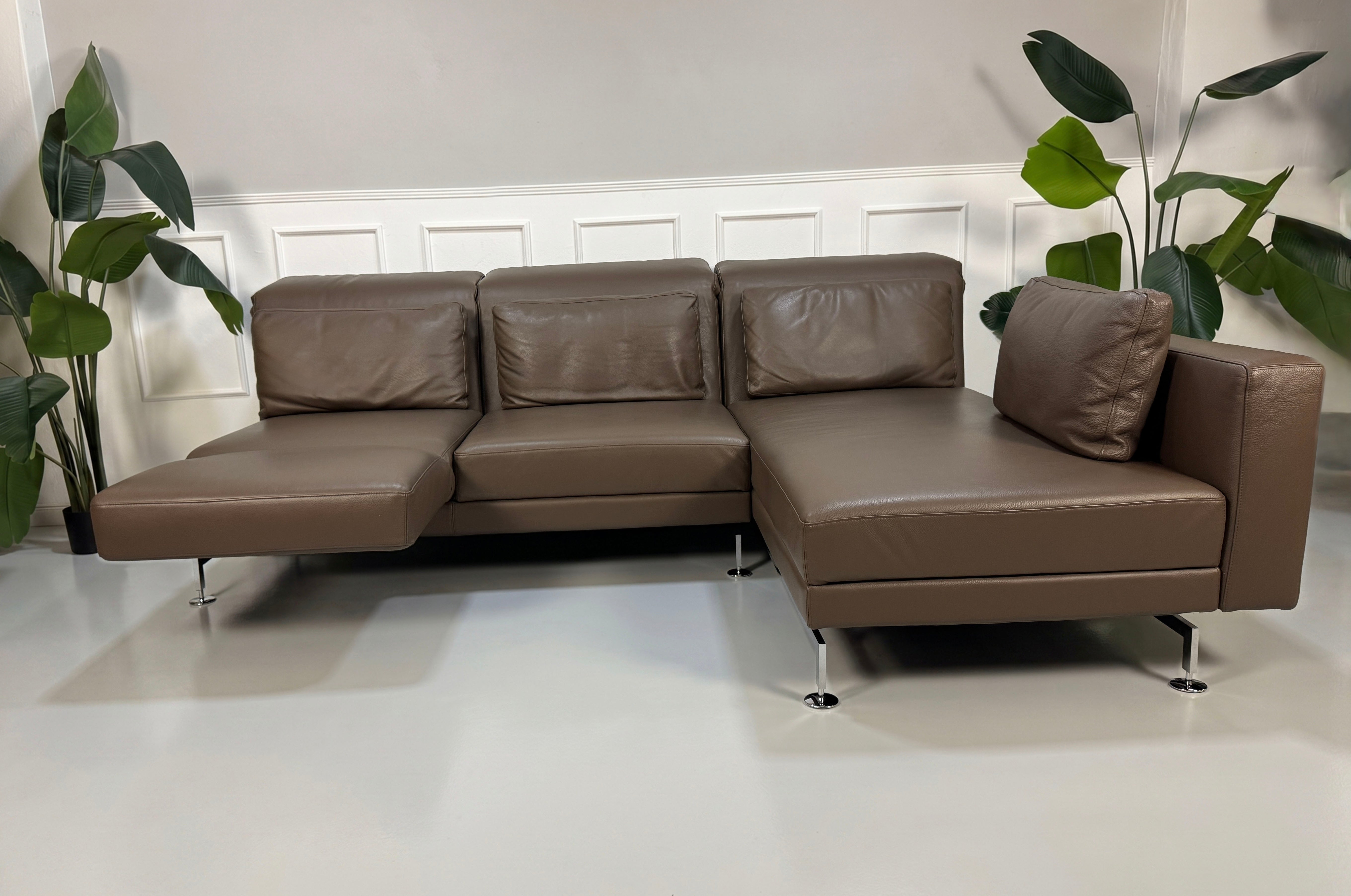 Gebrauchtes braunes Brühl Moule Designer Leder Sofa vor einer Wand, stilvoll und modern eingerichtet.