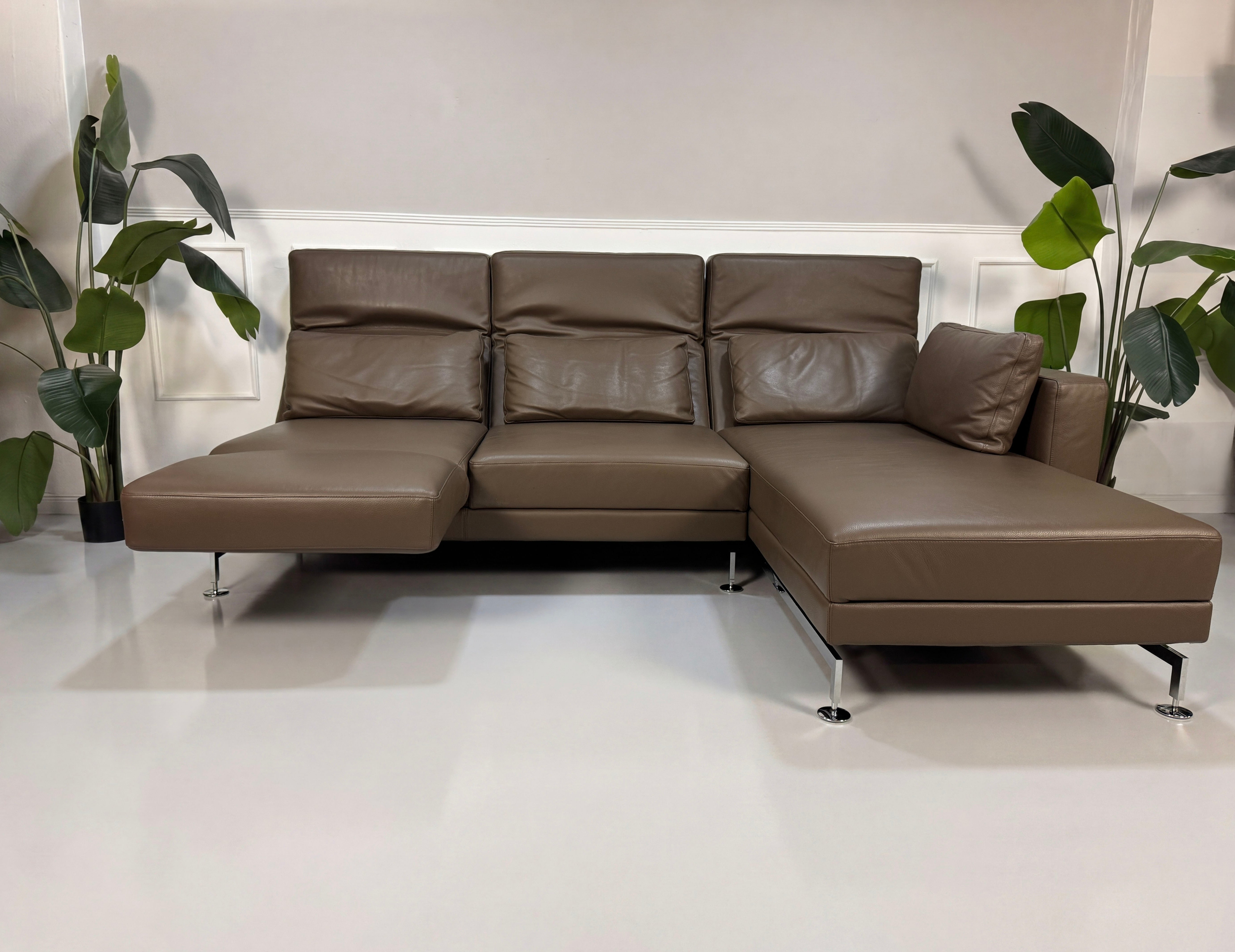 Gebrauchtes braunes Brühl Moule Designer Leder Sofa vor einer Wand, stilvoll und modern eingerichtet.