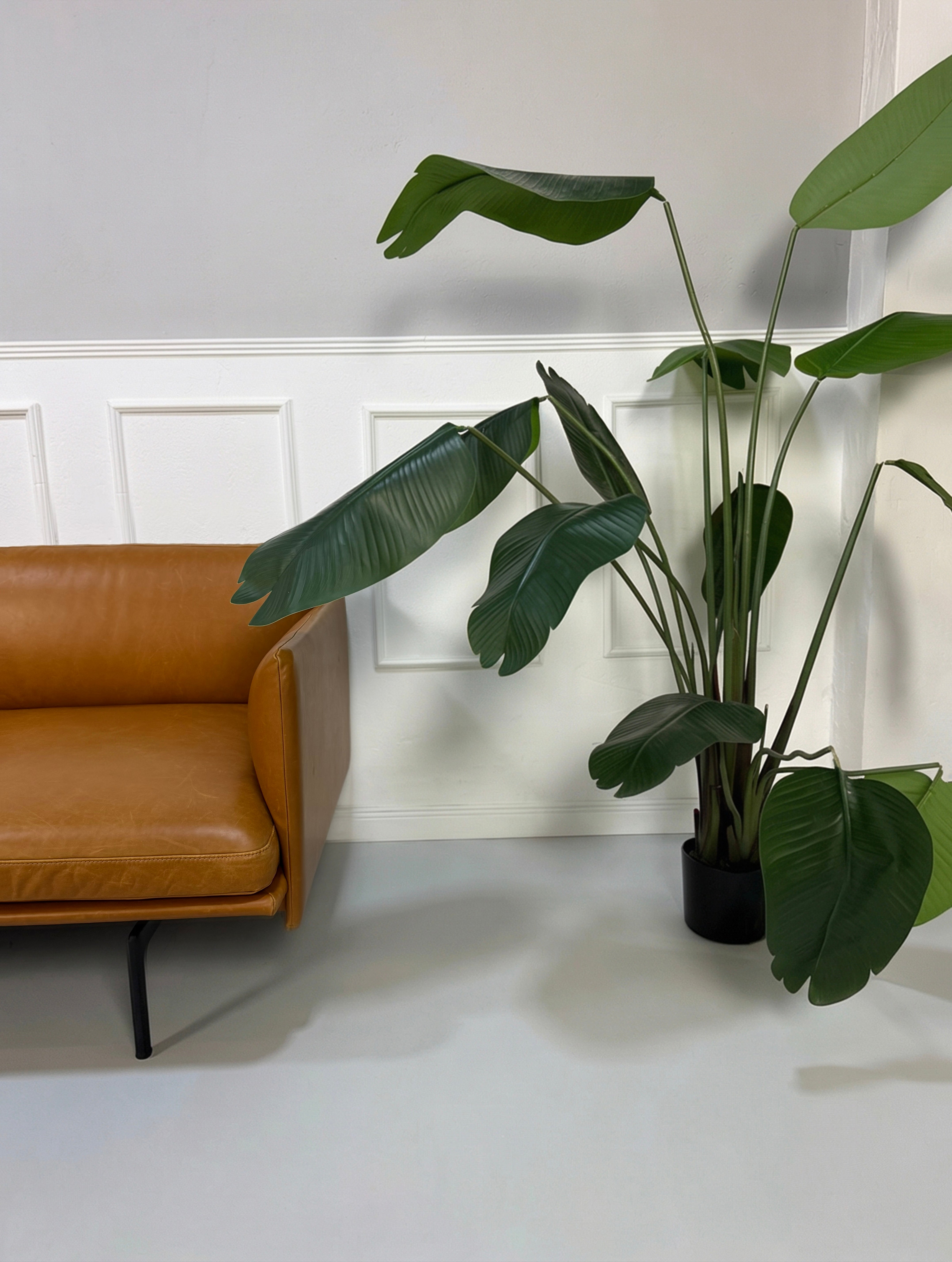 Gebrauchtes braunes cognac Muuto Outline Designer Leder Sofa vor einer Wand, stilvoll und modern eingerichtet.