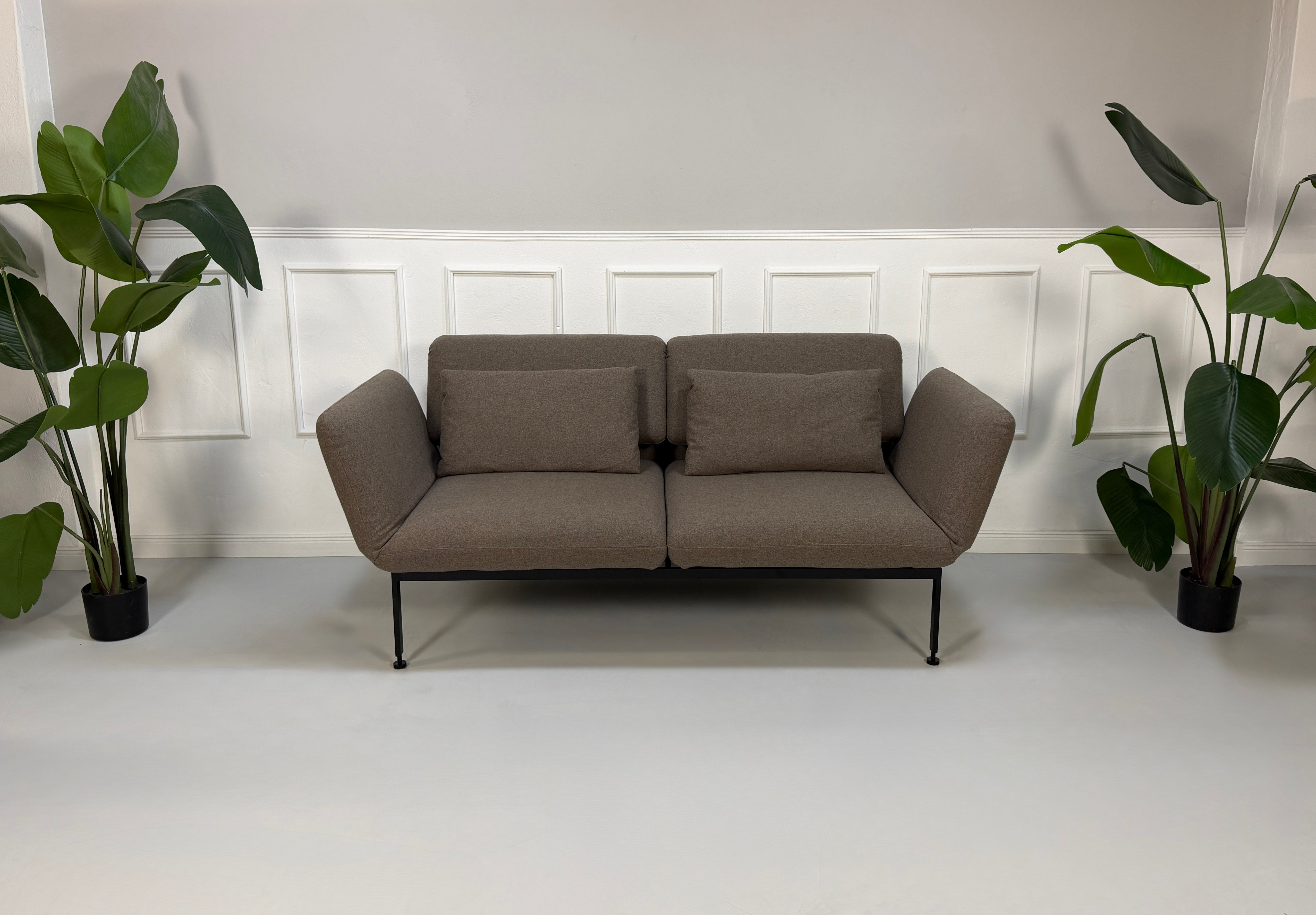 Ausstellungsstück Brühl Roro in braun Designer Stoff Sofa vor einer Wand, stilvoll und modern eingerichtet.