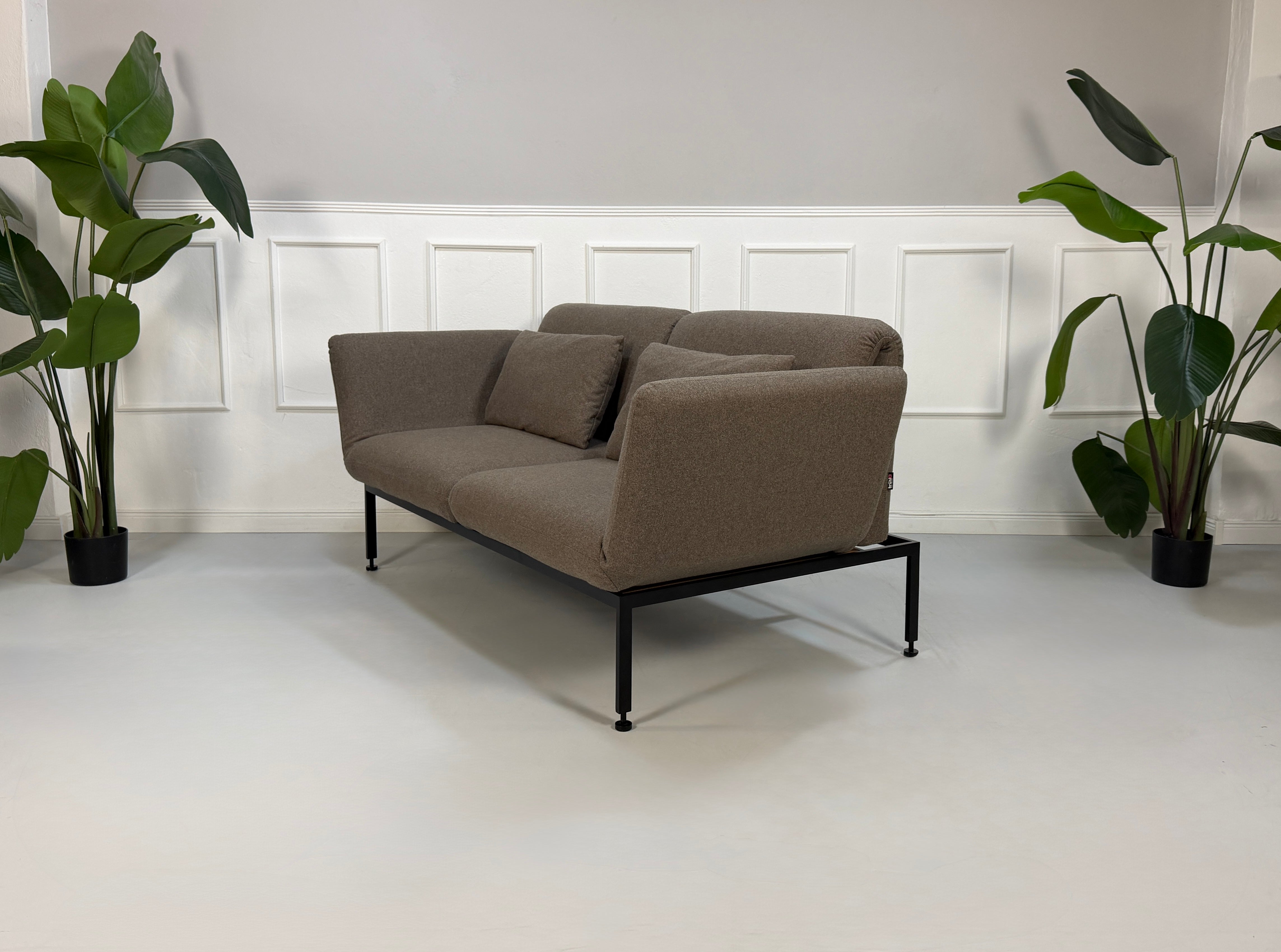 Ausstellungsstück Brühl Roro in braun Designer Stoff Sofa vor einer Wand, stilvoll und modern eingerichtet.