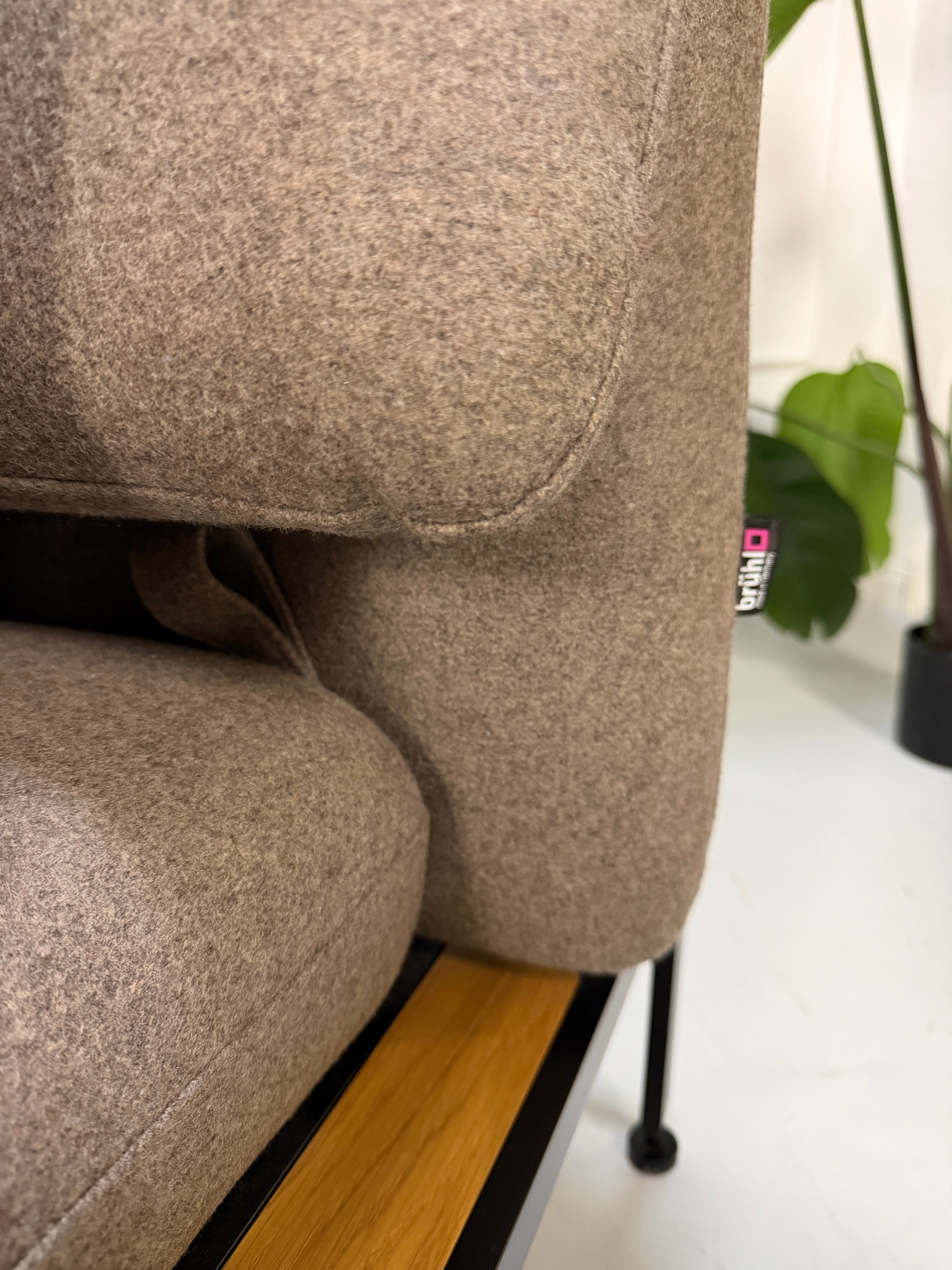 Ausstellungsstück Brühl Roro in braun Designer Stoff Sofa vor einer Wand, stilvoll und modern eingerichtet.