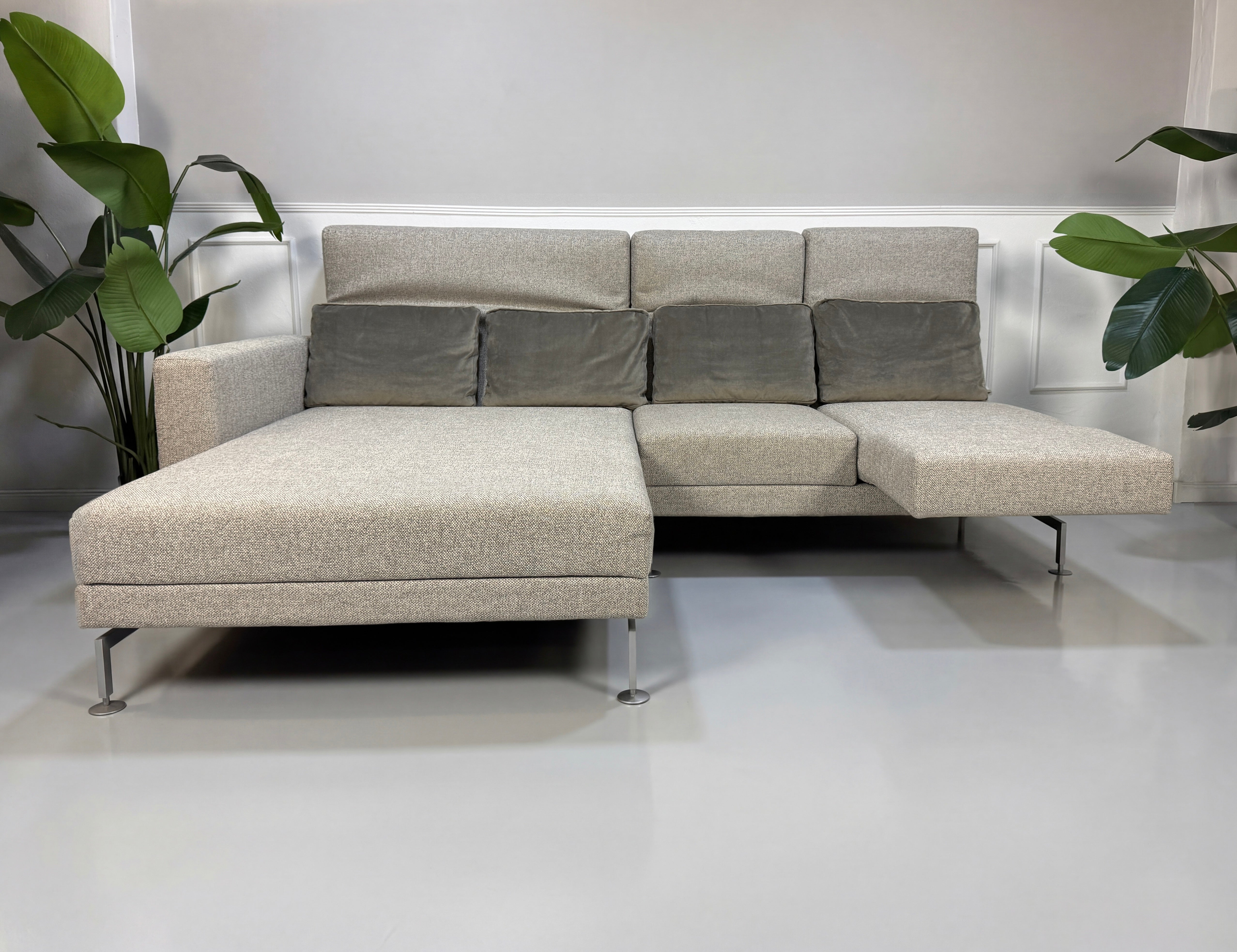 Gebrauchtes graues Brühl Moule Designer Stoff Sofa vor einer Wand, stilvoll und modern eingerichtet.