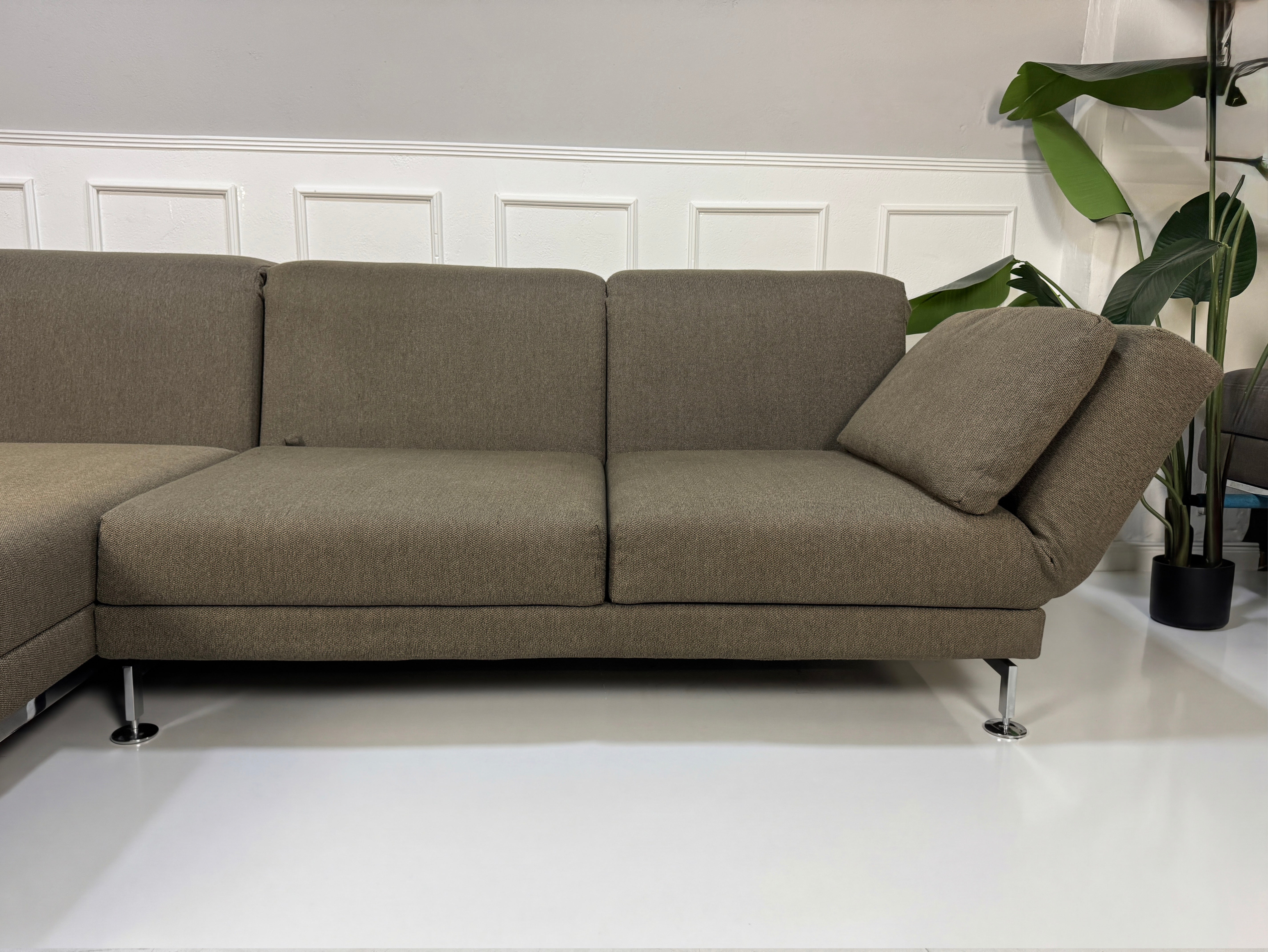 Gebrauchtes braunes Brühl Moule Designer Stoff Sofa vor einer Wand, stilvoll und modern eingerichtet.
