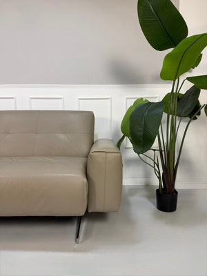 Gebrauchtes graues Rolf Benz 50 Designer Leder Sofa vor einer Wand, stilvoll und modern eingerichtet.