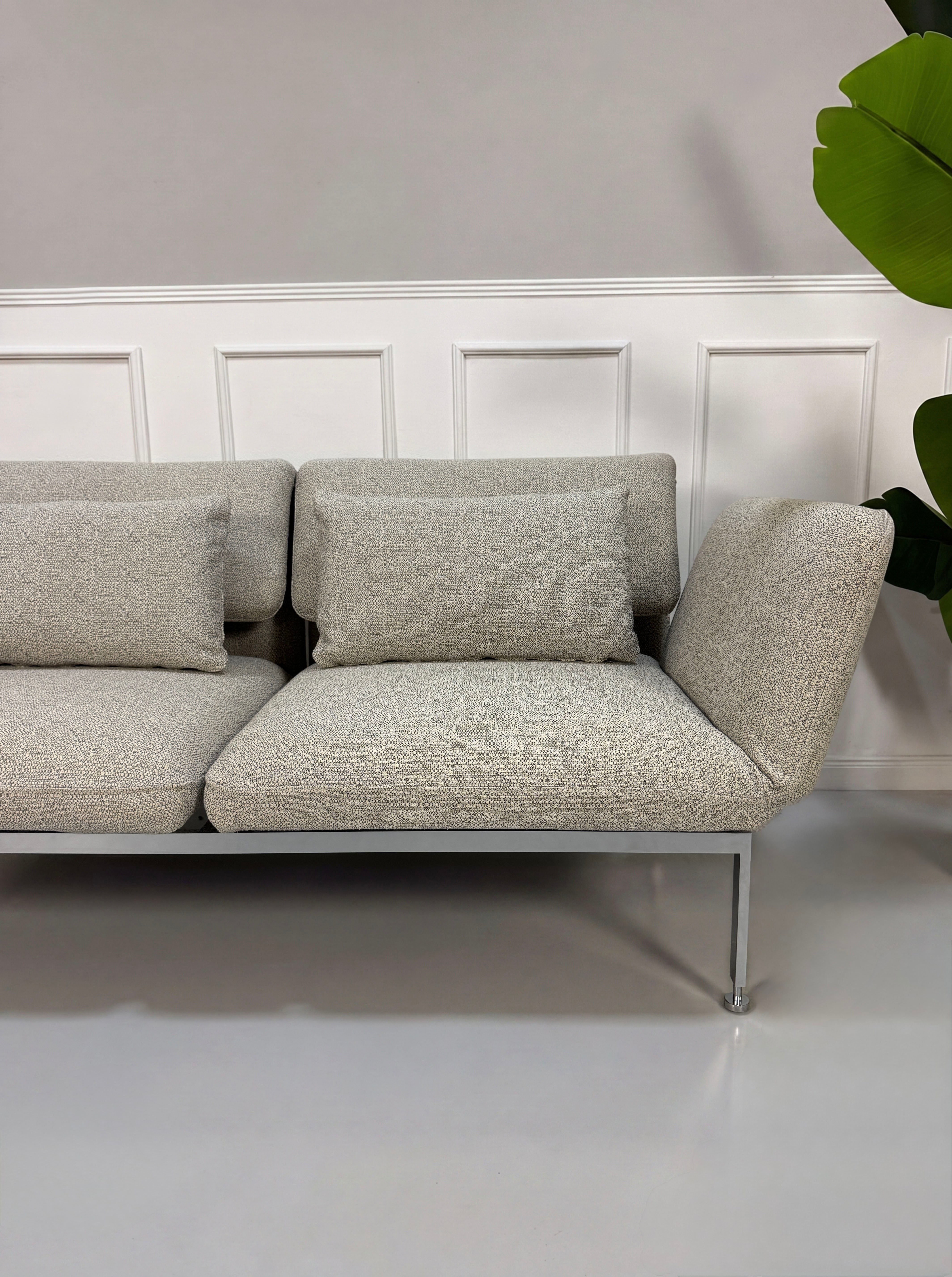 Gebrauchtes graues Brühl Roro Designer Stoff Sofa vor einer Wand, stilvoll und modern eingerichtet.