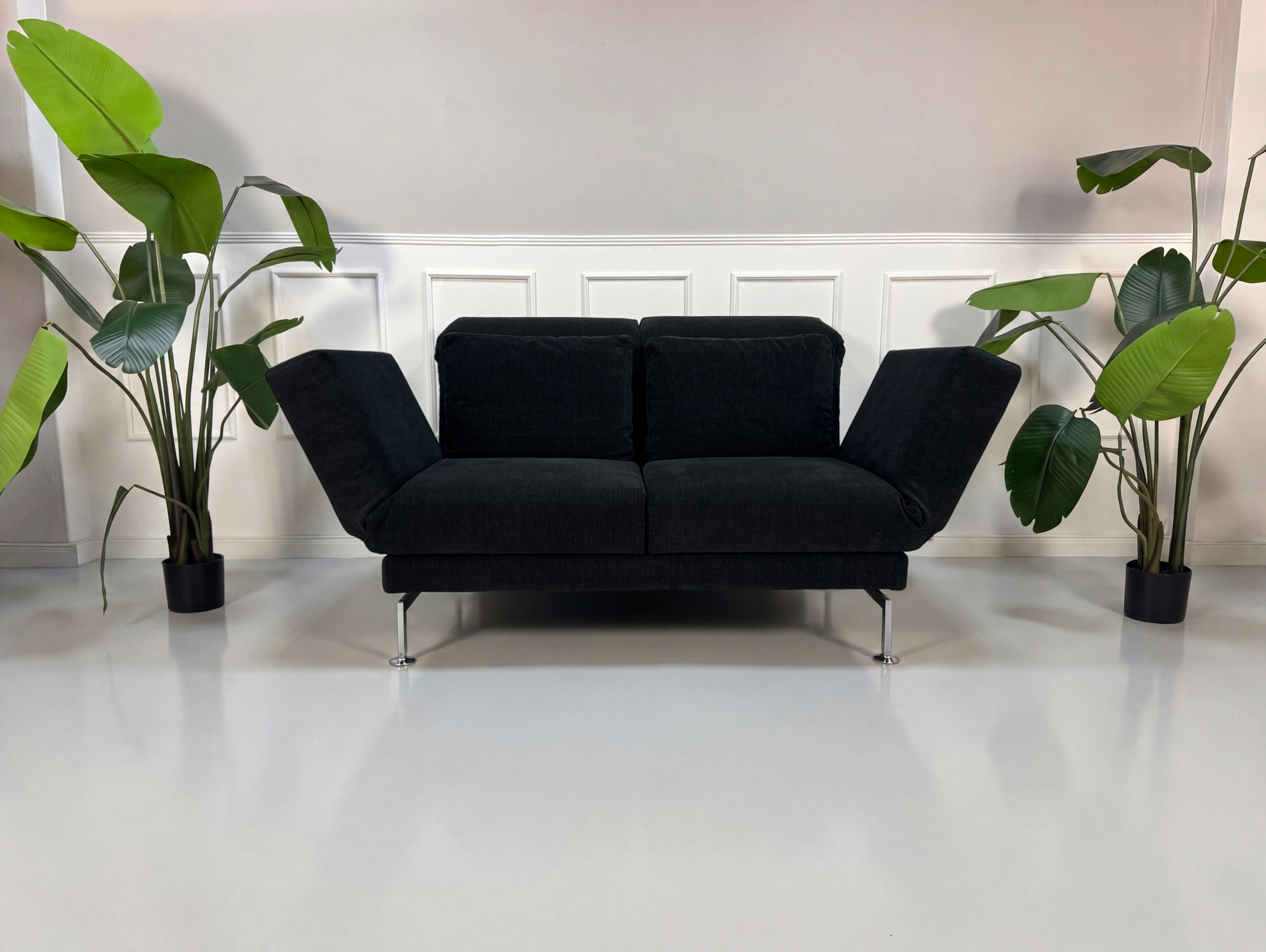 Gebrauchtes anthrazit Brühl Moule Small Designer Stoff Sofa vor einer Wand, stilvoll und modern eingerichtet.
