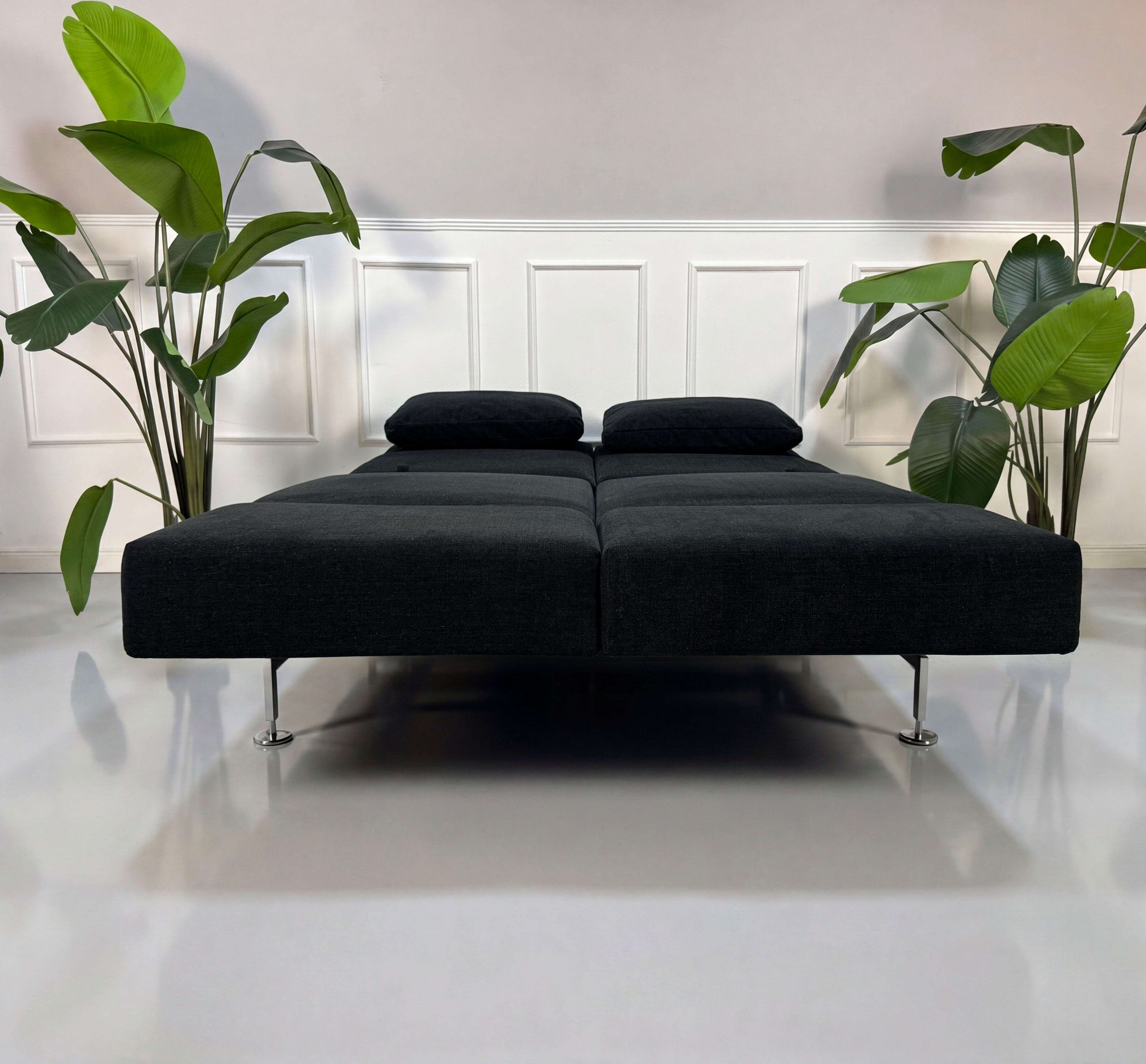 Gebrauchtes anthrazit Brühl Moule Small Designer Stoff Sofa vor einer Wand, stilvoll und modern eingerichtet.