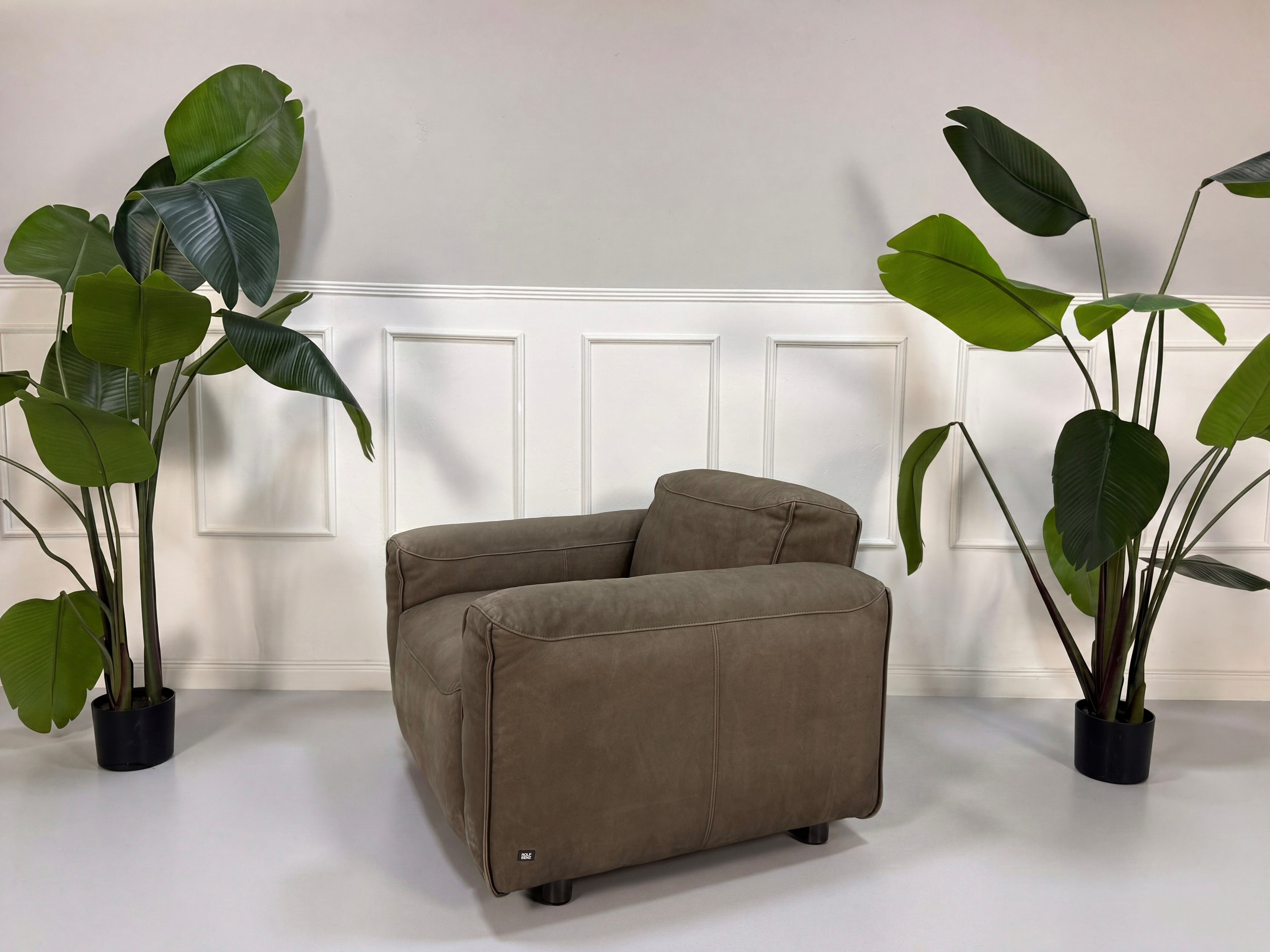 Gebrauchter braunen Rolf Benz Mio  Designer Leder Sessel vor einer Wand, stilvoll und modern eingerichtet.