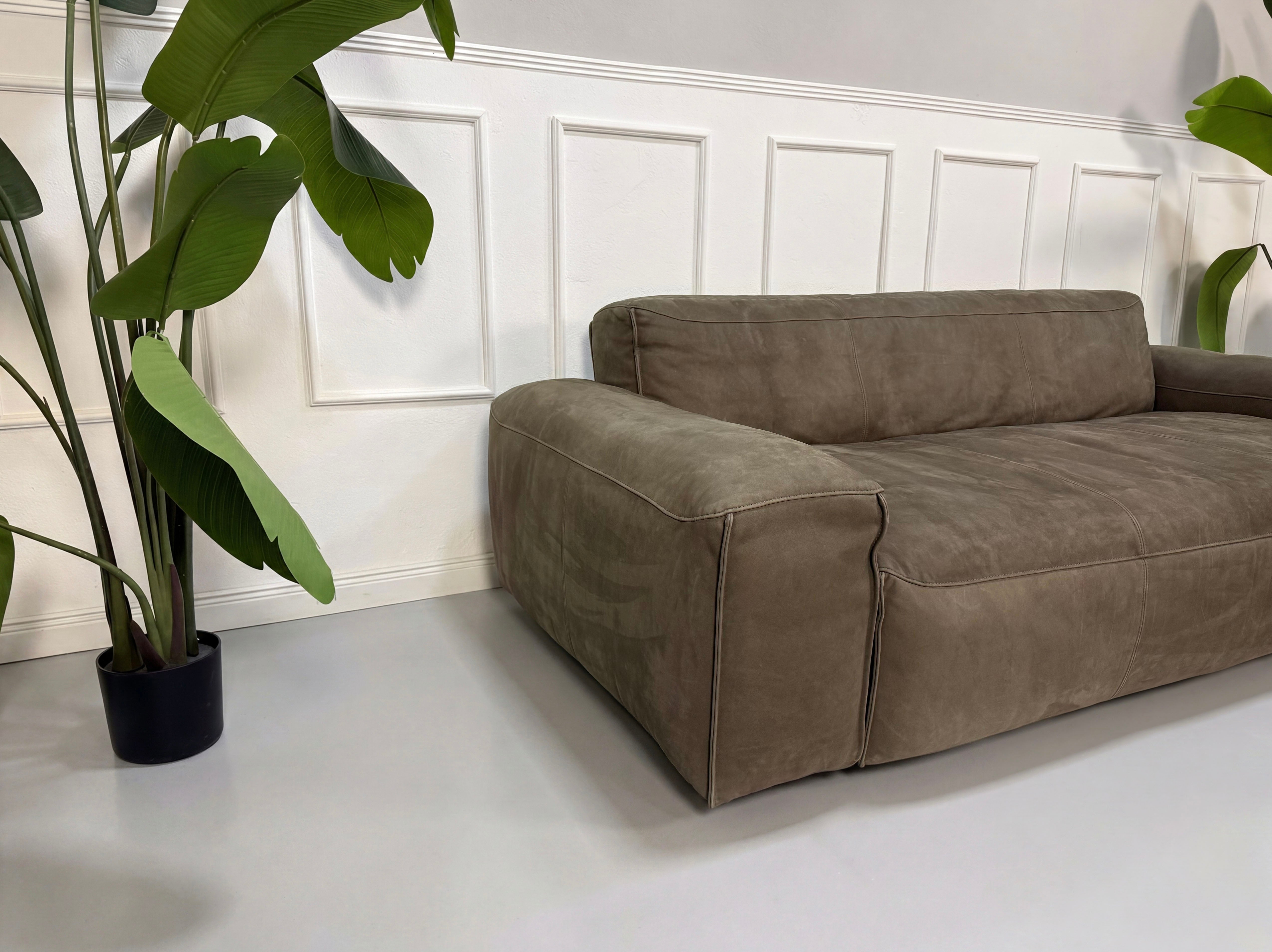 Gebrauchtes braunes Rolf Benz Mio Designer Leder Sofa vor einer Wand, stilvoll und modern eingerichtet.