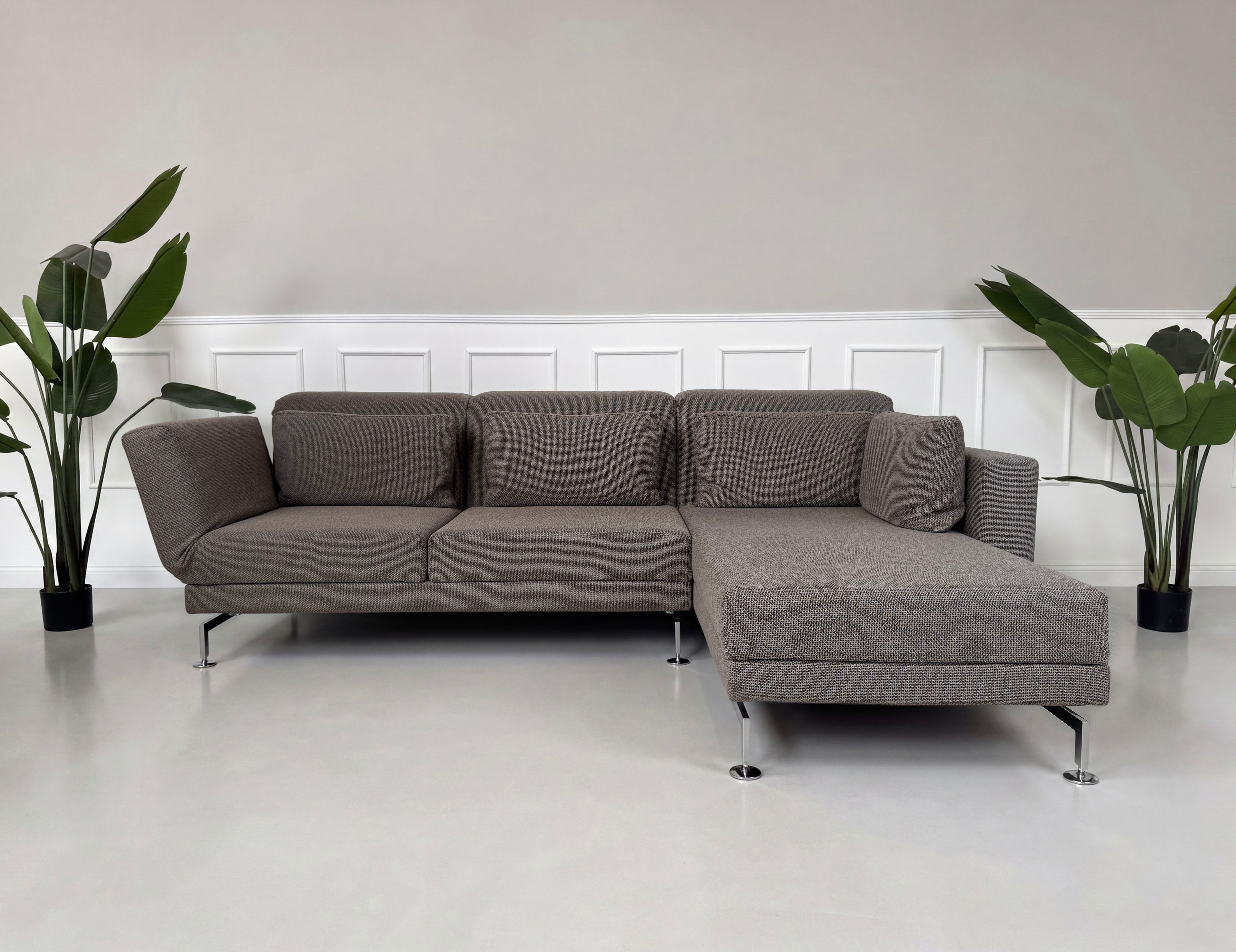 Gebrauchtes braun graues Brühl Moule Designer Stoff Sofa vor einer Wand, stilvoll und modern eingerichtet.

