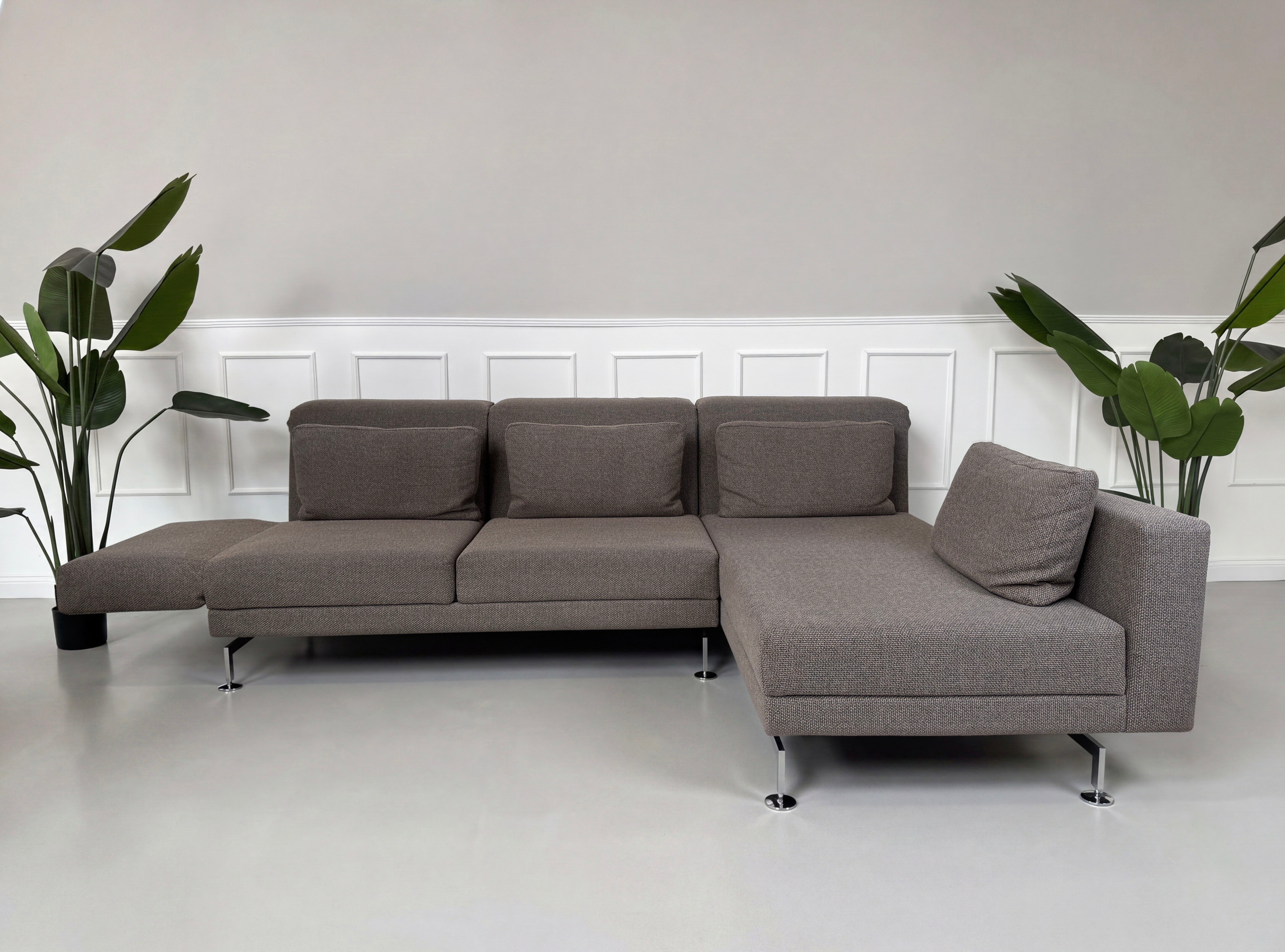 Gebrauchtes braun graues Brühl Moule Designer Stoff Sofa vor einer Wand, stilvoll und modern eingerichtet.