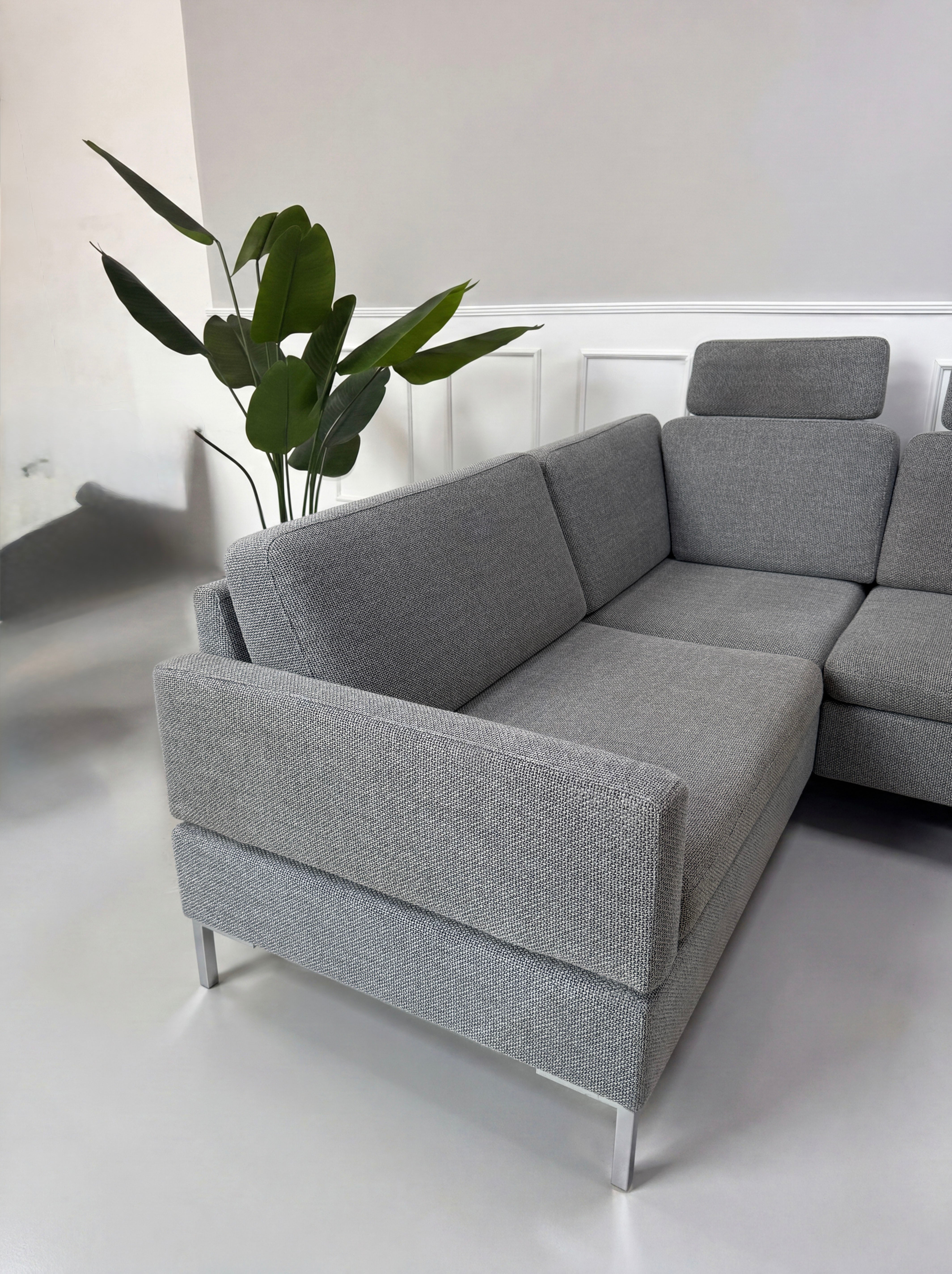 Gebrauchtes graues Brühl Alba Designer Stoff Sofa vor einer Wand, stilvoll und modern eingerichtet.