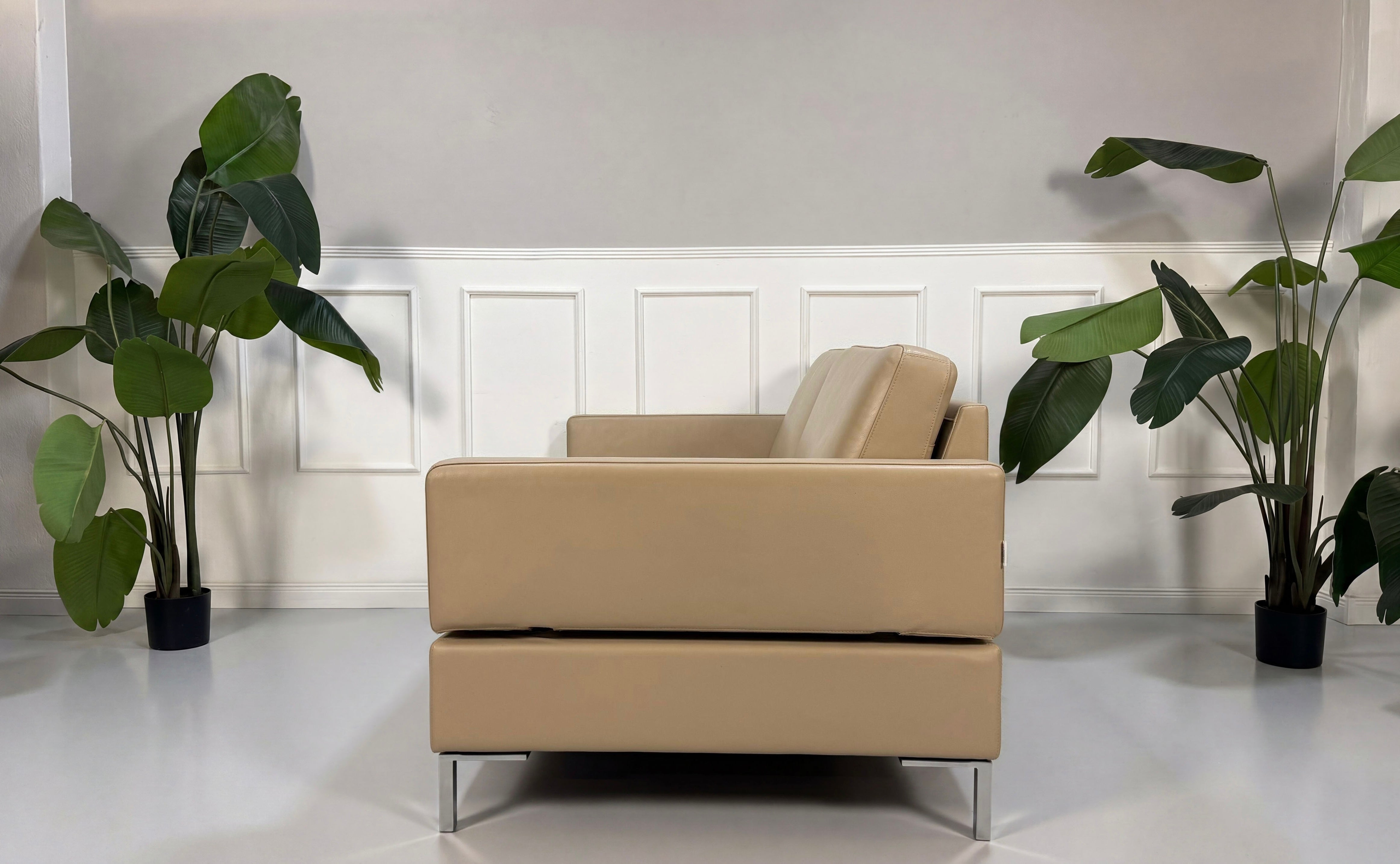 Gebrauchtes beiges Brühl Alba Designer Leder Sofa vor einer Wand, stilvoll und modern eingerichtet.
