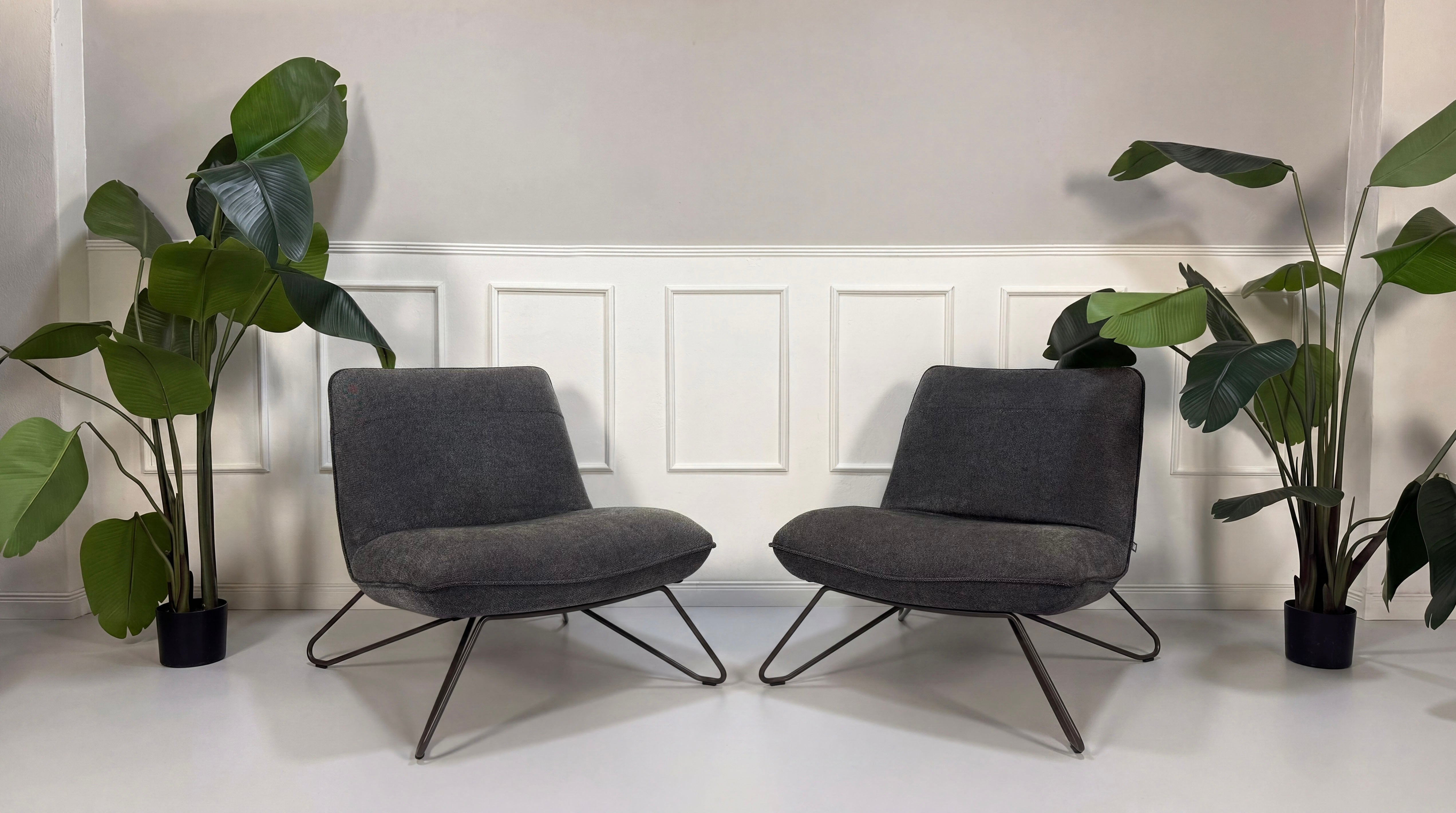 Gebrauchte graue 394 Rolf Benz Designer Stoff Sessel vor einer Wand, stilvoll und modern eingerichtet.
