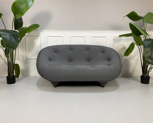 Gebrauchtes graues Ligne Roset Designer Stoff Sofa vor einer Wand, stilvoll und modern eingerichtet.