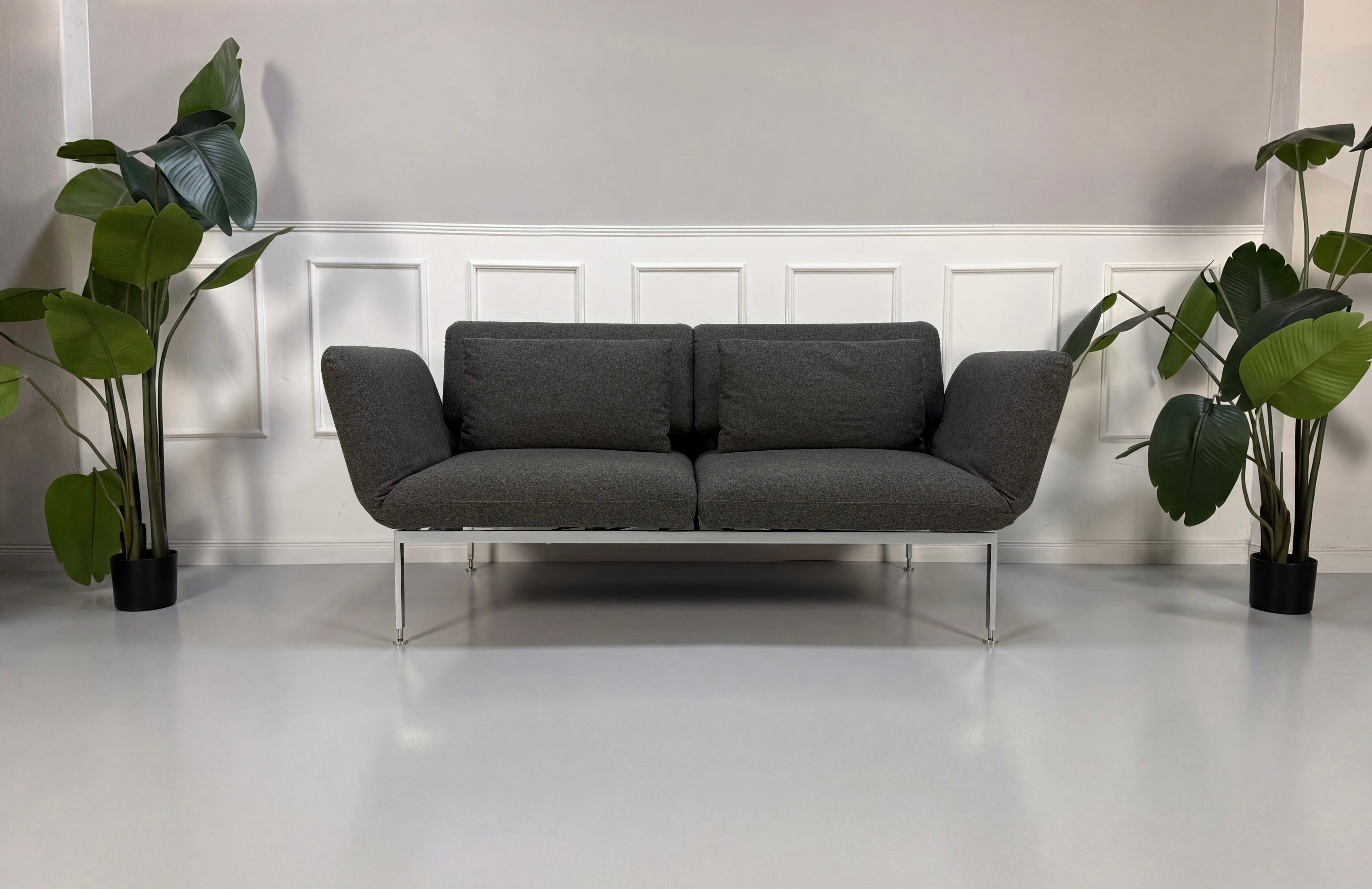 Gebrauchtes graues Brühl Roro Designer Stoff Sofa vor einer Wand, stilvoll und modern eingerichtet.
