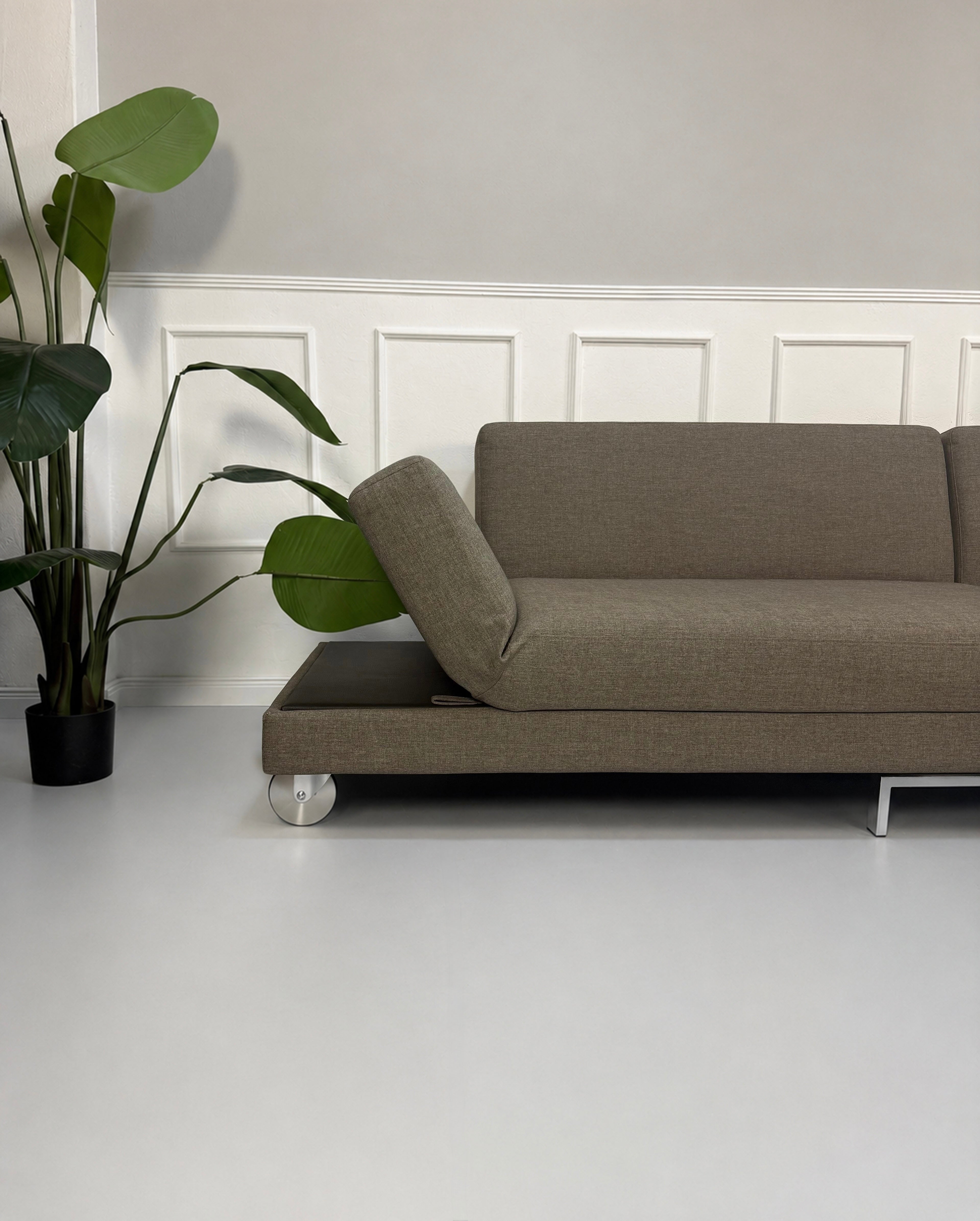 Gebrauchtes braunes Brühl Fourtwo Designer Stoff Sofa vor einer Wand, stilvoll und modern eingerichtet.