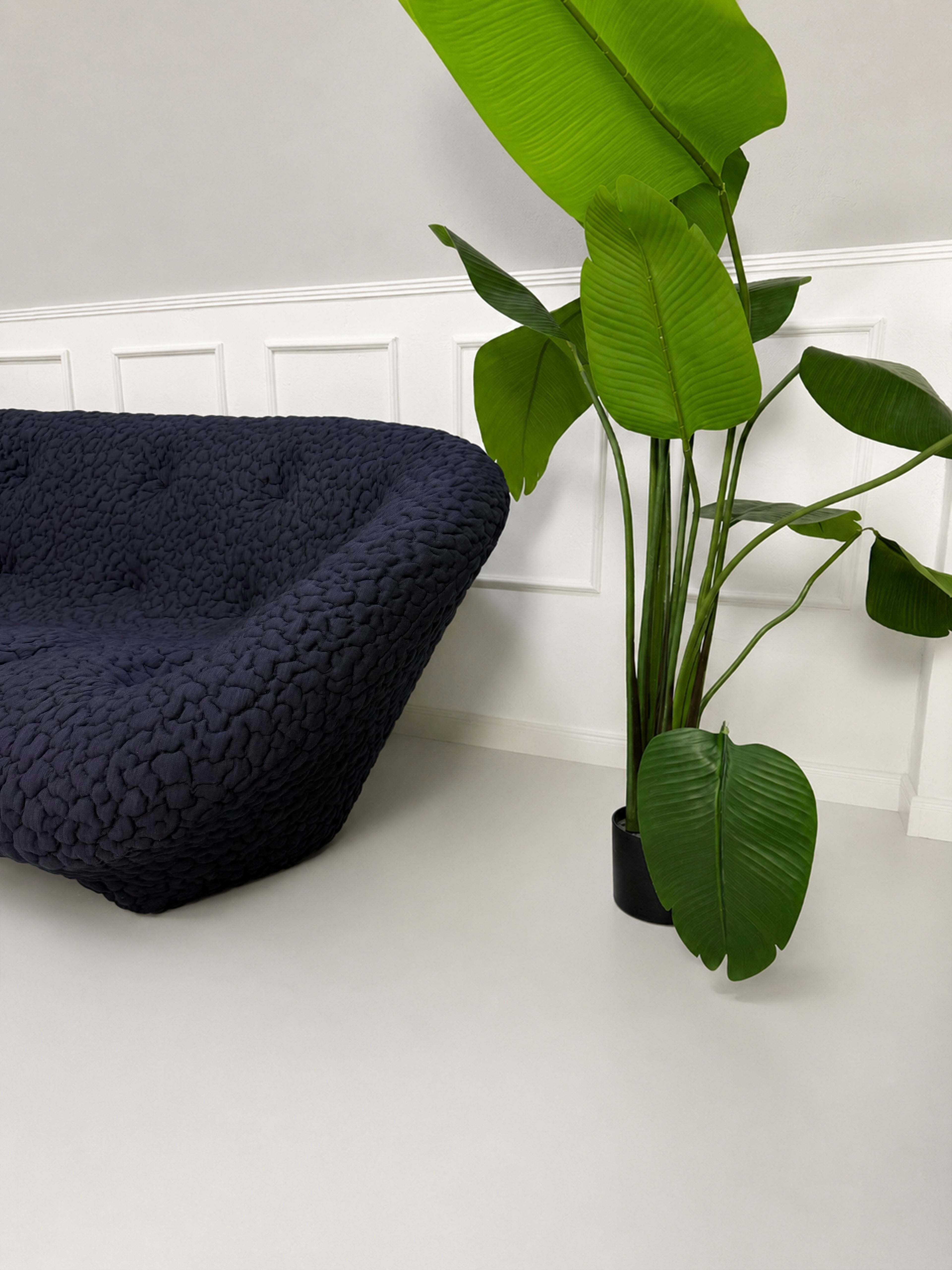 Gebrauchtes blaues Ligne Roset Ploum Designer Stoff Sofa vor einer Wand, stilvoll und modern eingerichtet.
