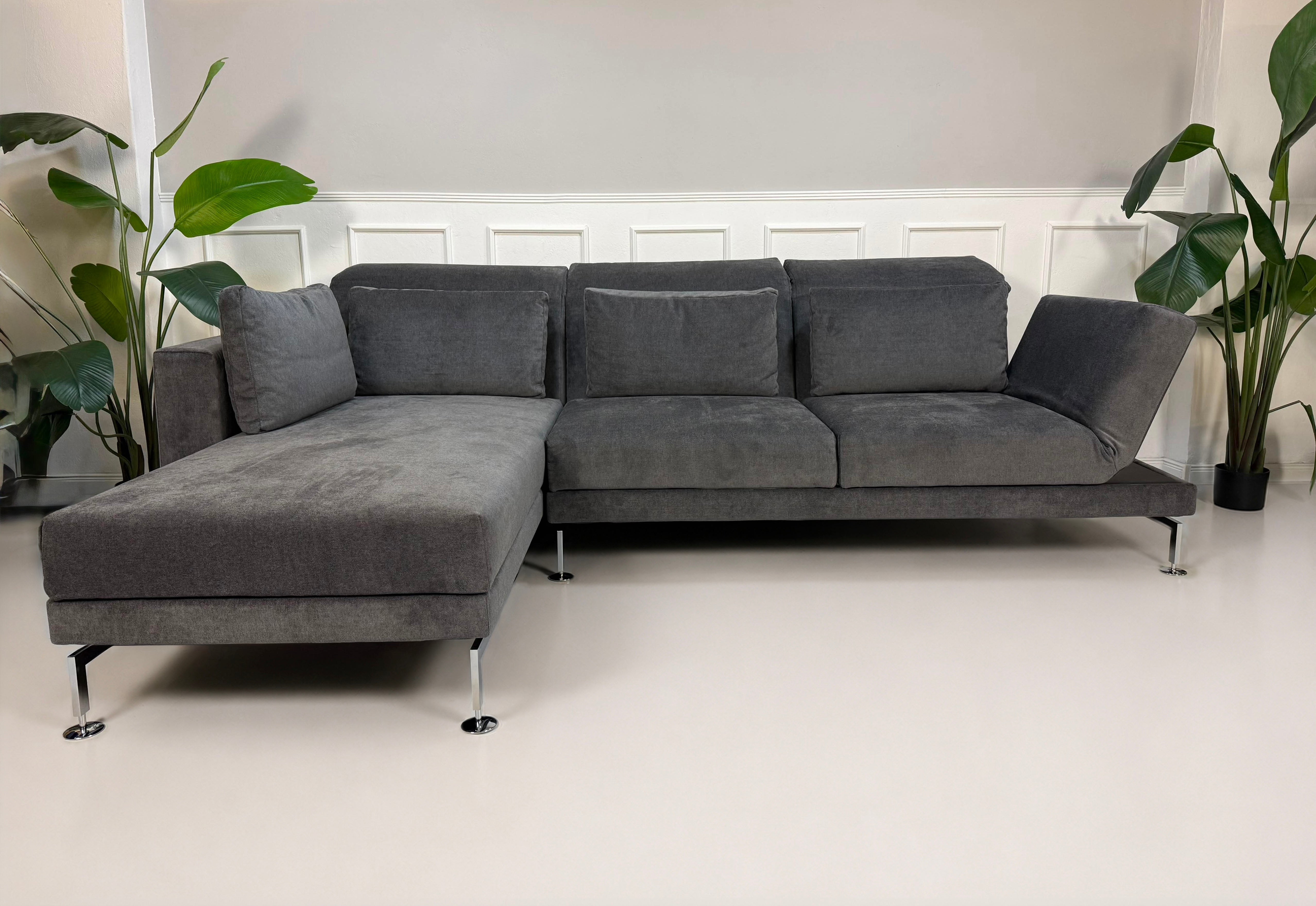 Ausstellungsstück Brühl Moule Designer Stoff Sofa in Grau vor einer Wand, stilvoll und modern eingerichtet.