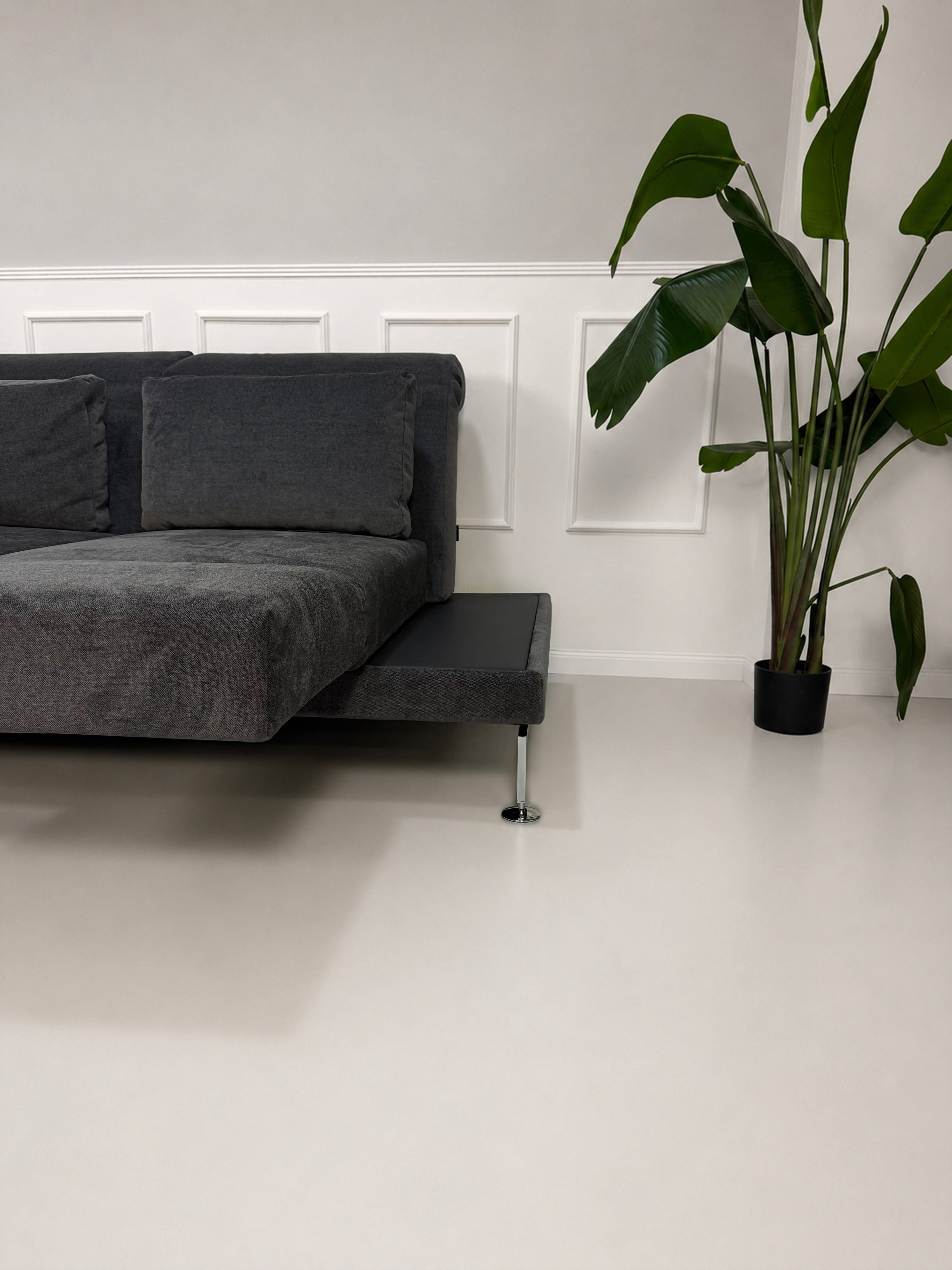 Ausstellungsstück Brühl Moule Designer Stoff Sofa in Grau vor einer Wand, stilvoll und modern eingerichtet.