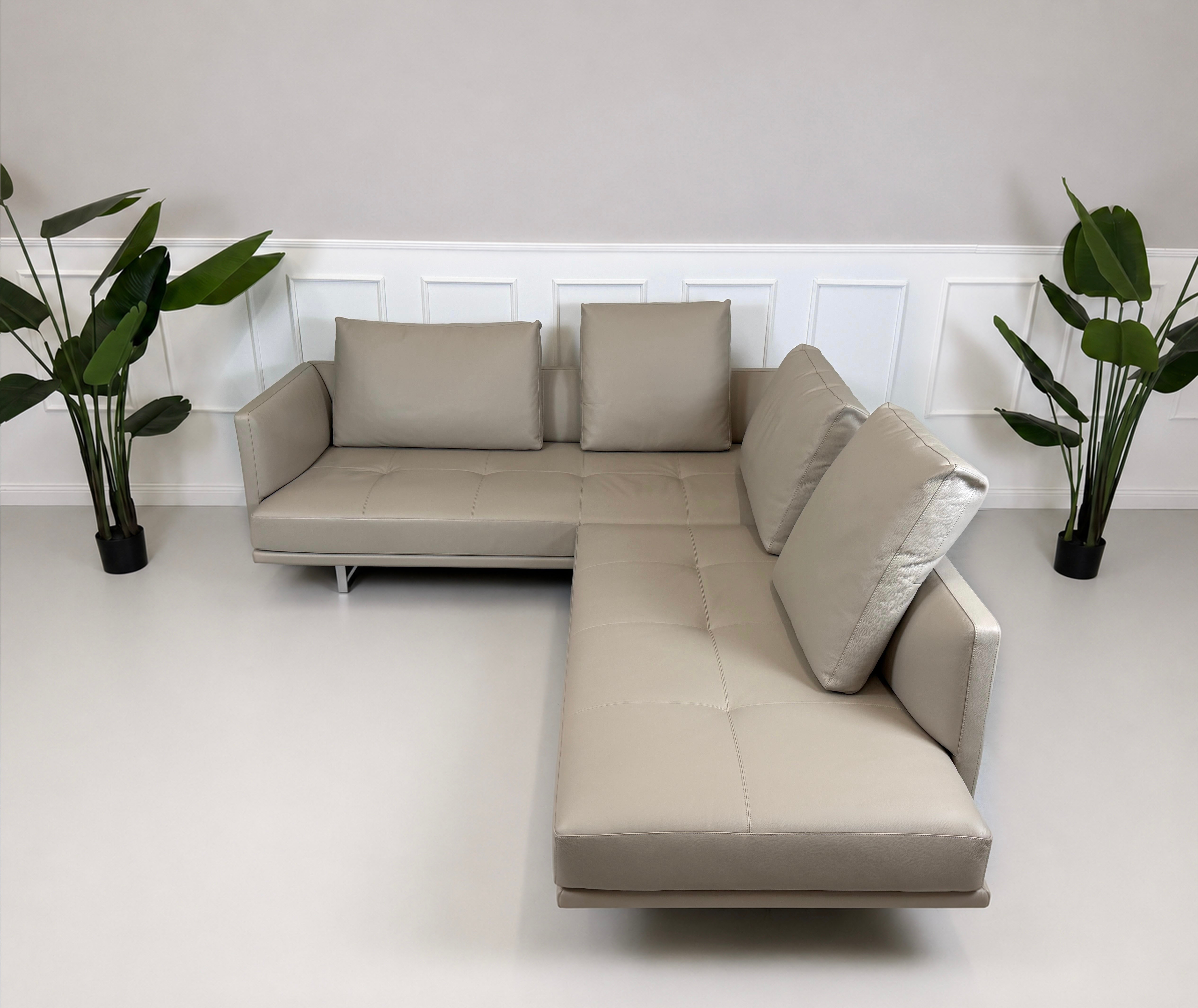 Ausstellungsstück Walter Knoll Prime Time Designer Leder Sofa vor einer Wand, stilvoll und modern eingerichtet.