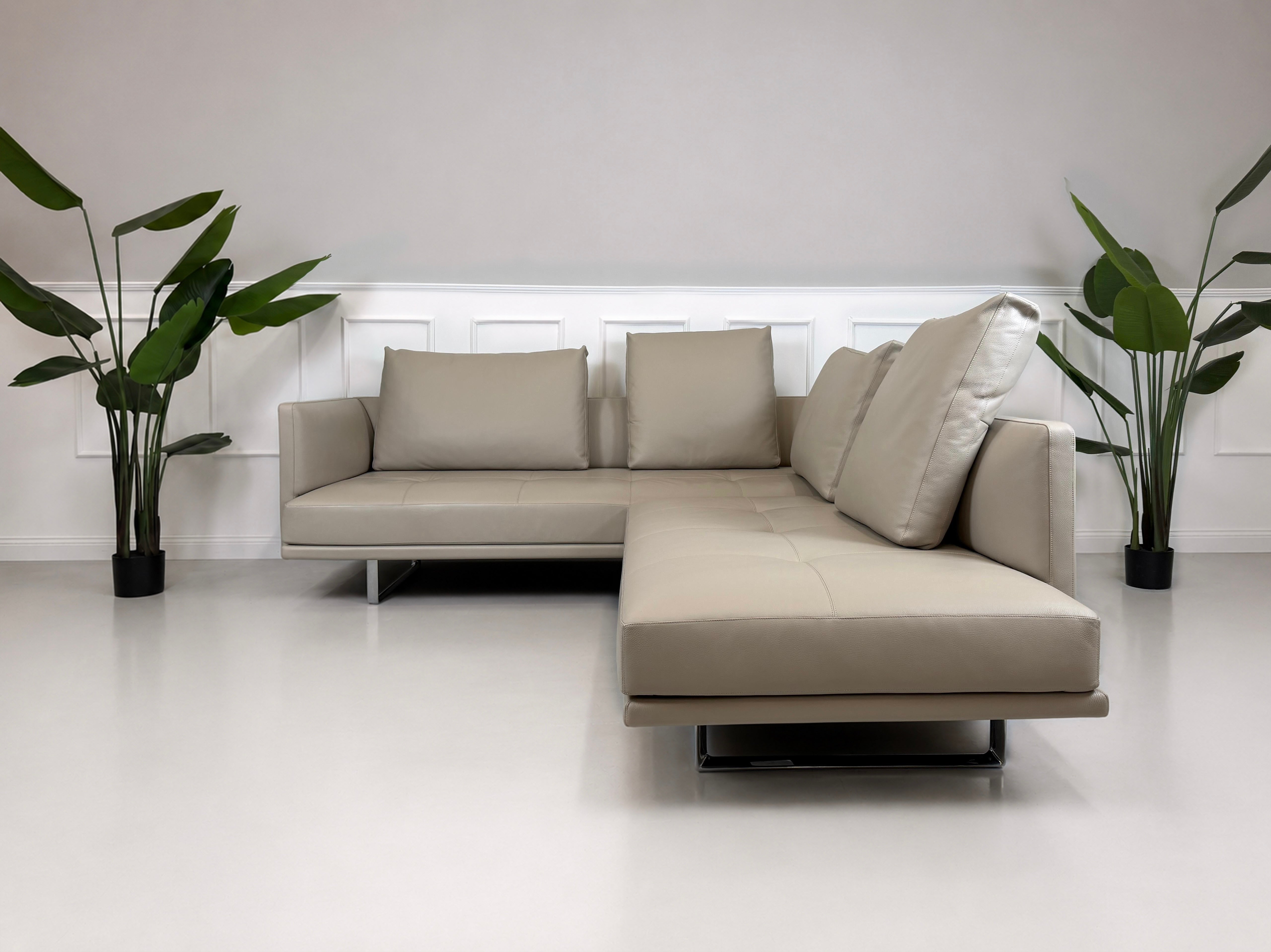 Ausstellungsstück Walter Knoll Prime Time Designer Leder Sofa vor einer Wand, stilvoll und modern eingerichtet.