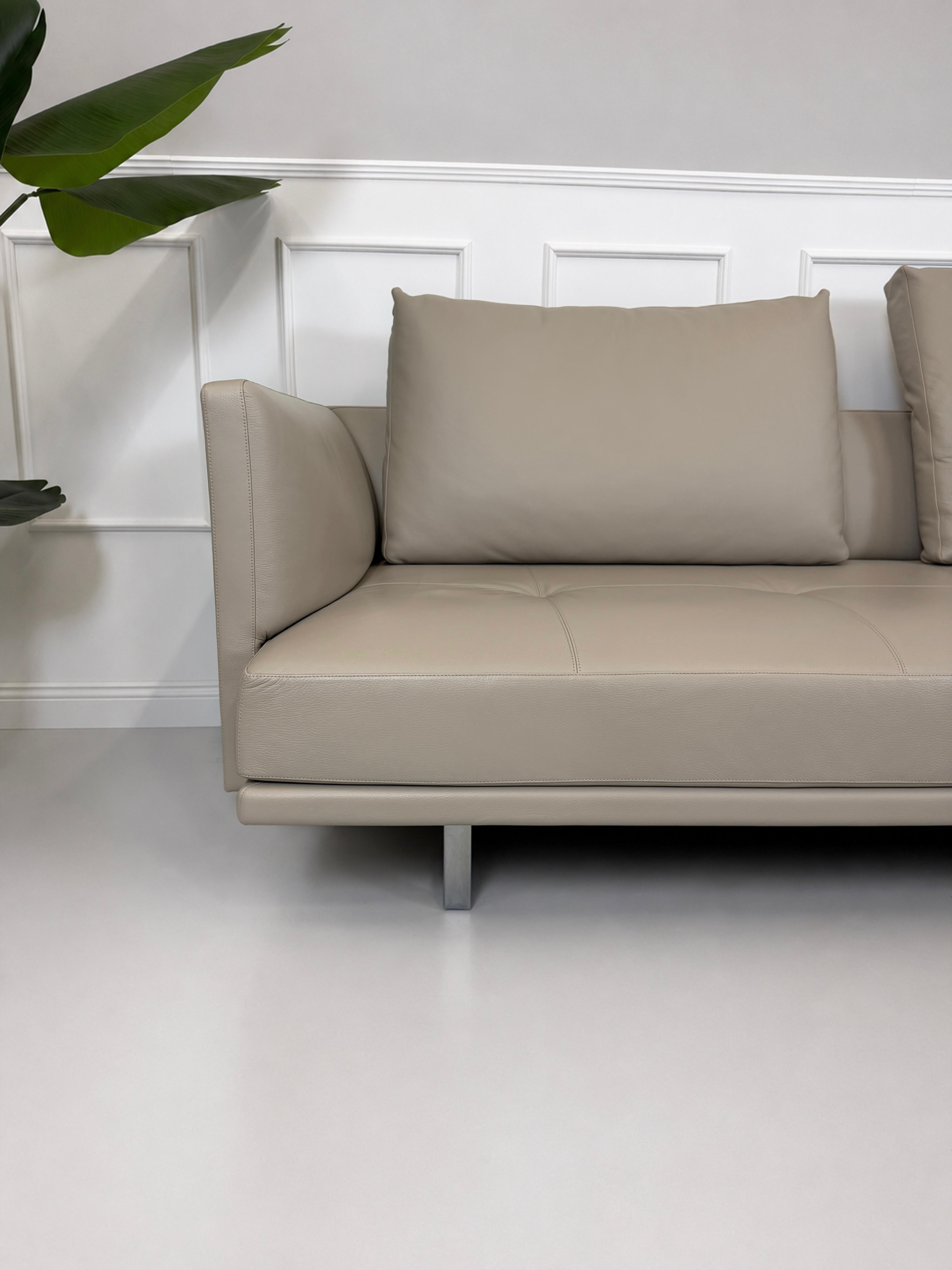 Ausstellungsstück Walter Knoll Prime Time Designer Leder Sofa vor einer Wand, stilvoll und modern eingerichtet.