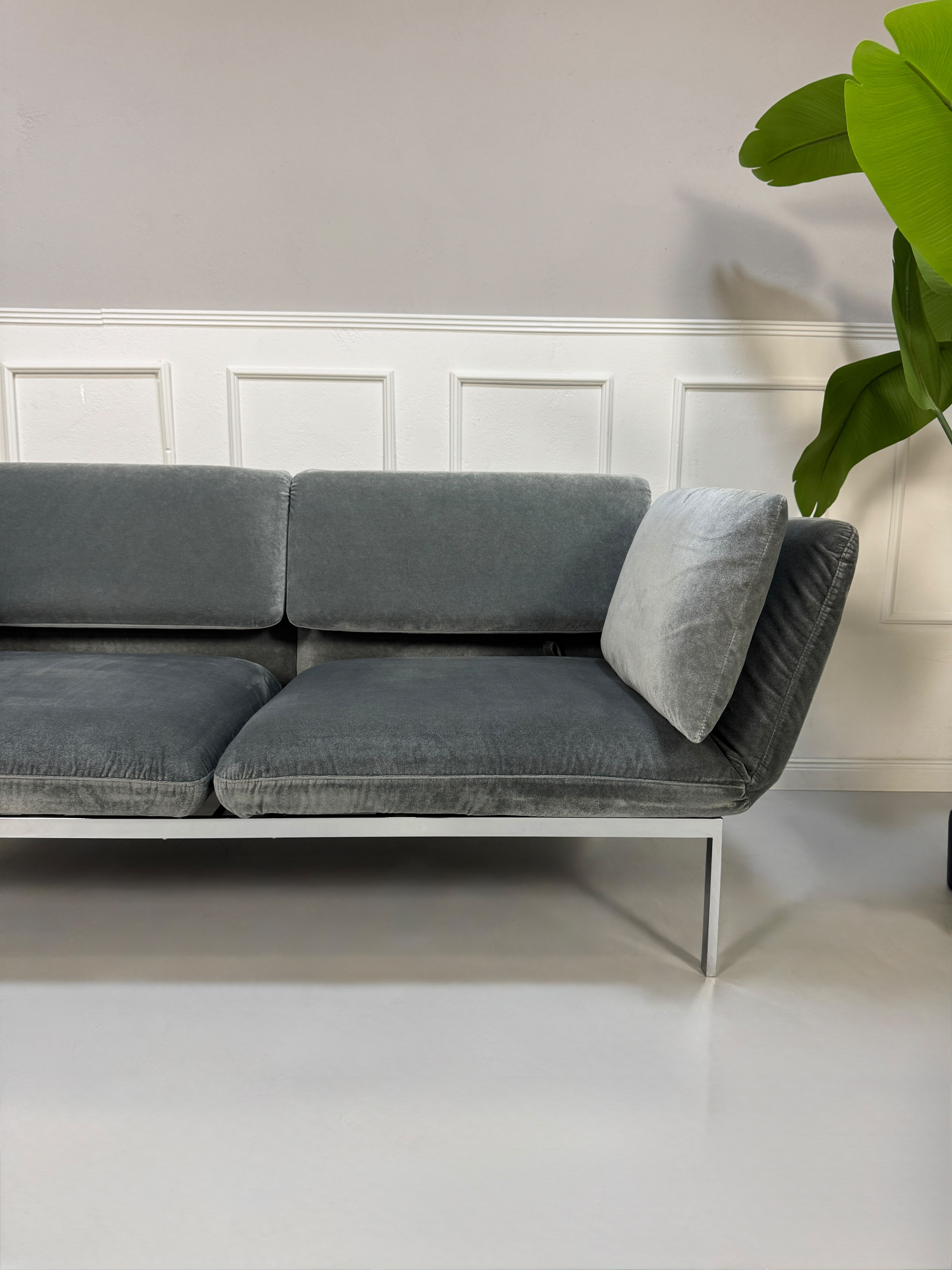 Gebrauchtes graues Brühl Roro medium Designer Stoff Sofa vor einer Wand, stilvoll und modern eingerichtet.