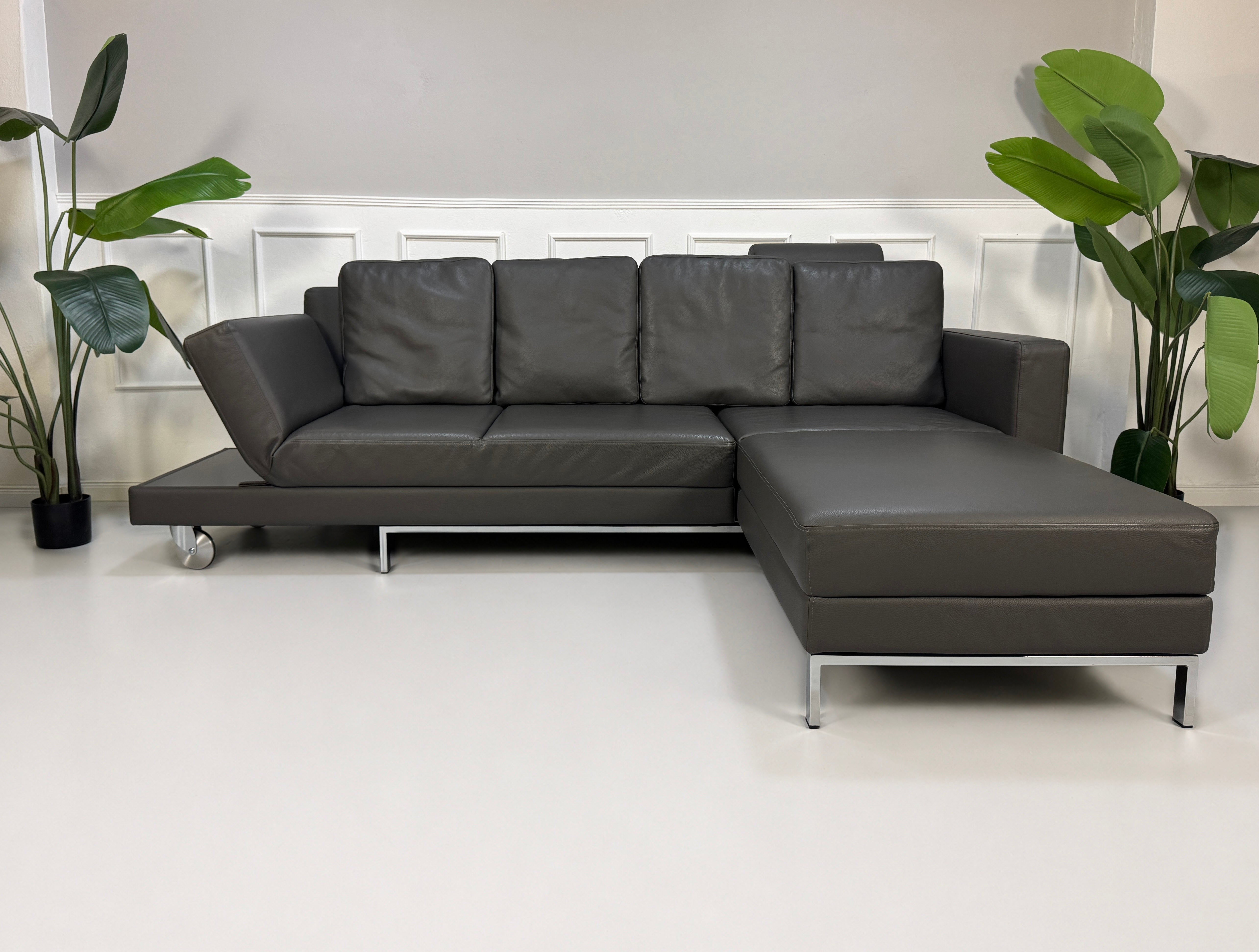 Ausstellungsstück Brühl Four Two  Designer Leder Sofa vor einer Wand, stilvoll und modern eingerichtet.
