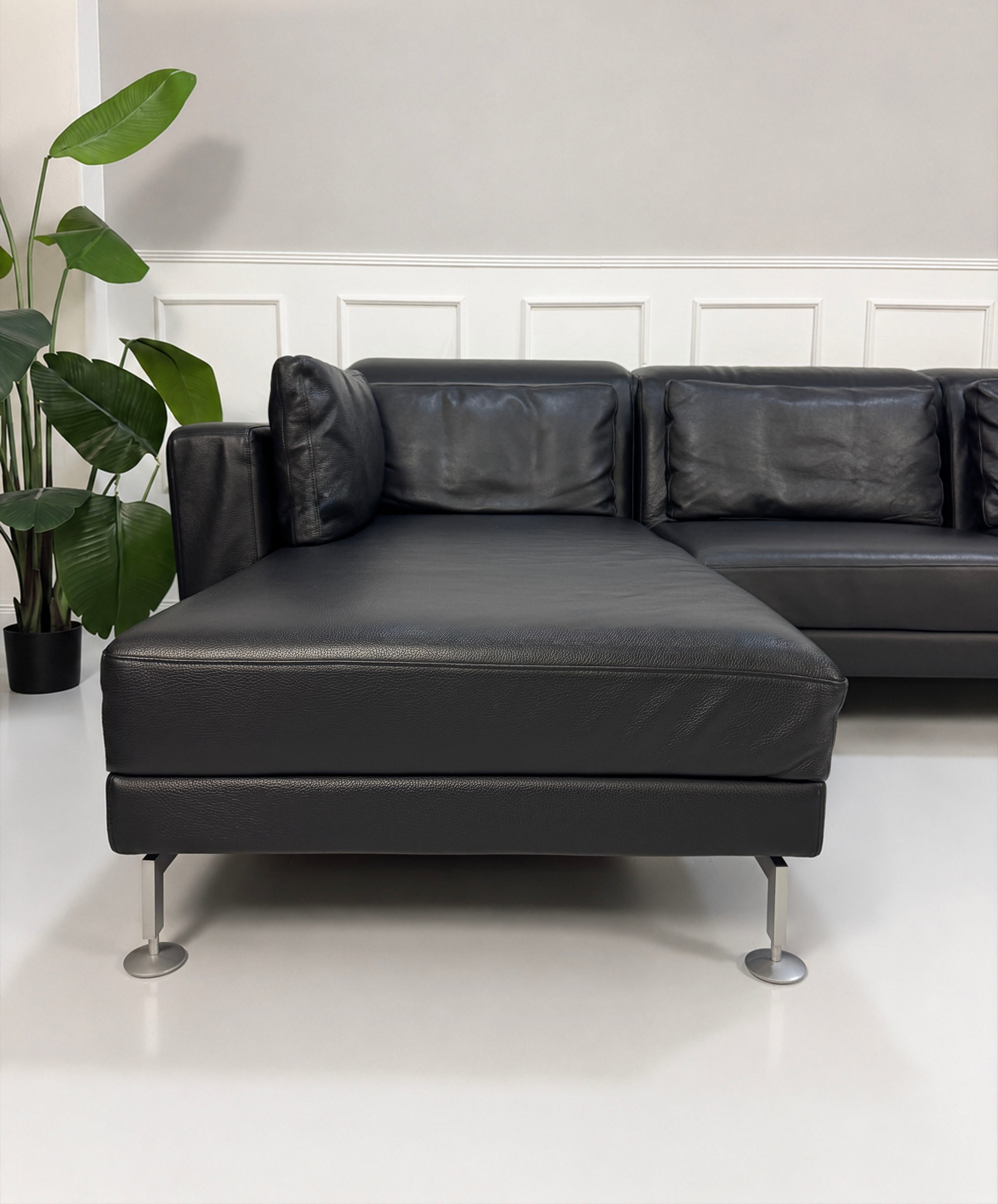Gebrauchtes schwarzes Brühl Moule Designer Leder Sofa vor einer Wand, stilvoll und modern eingerichtet.