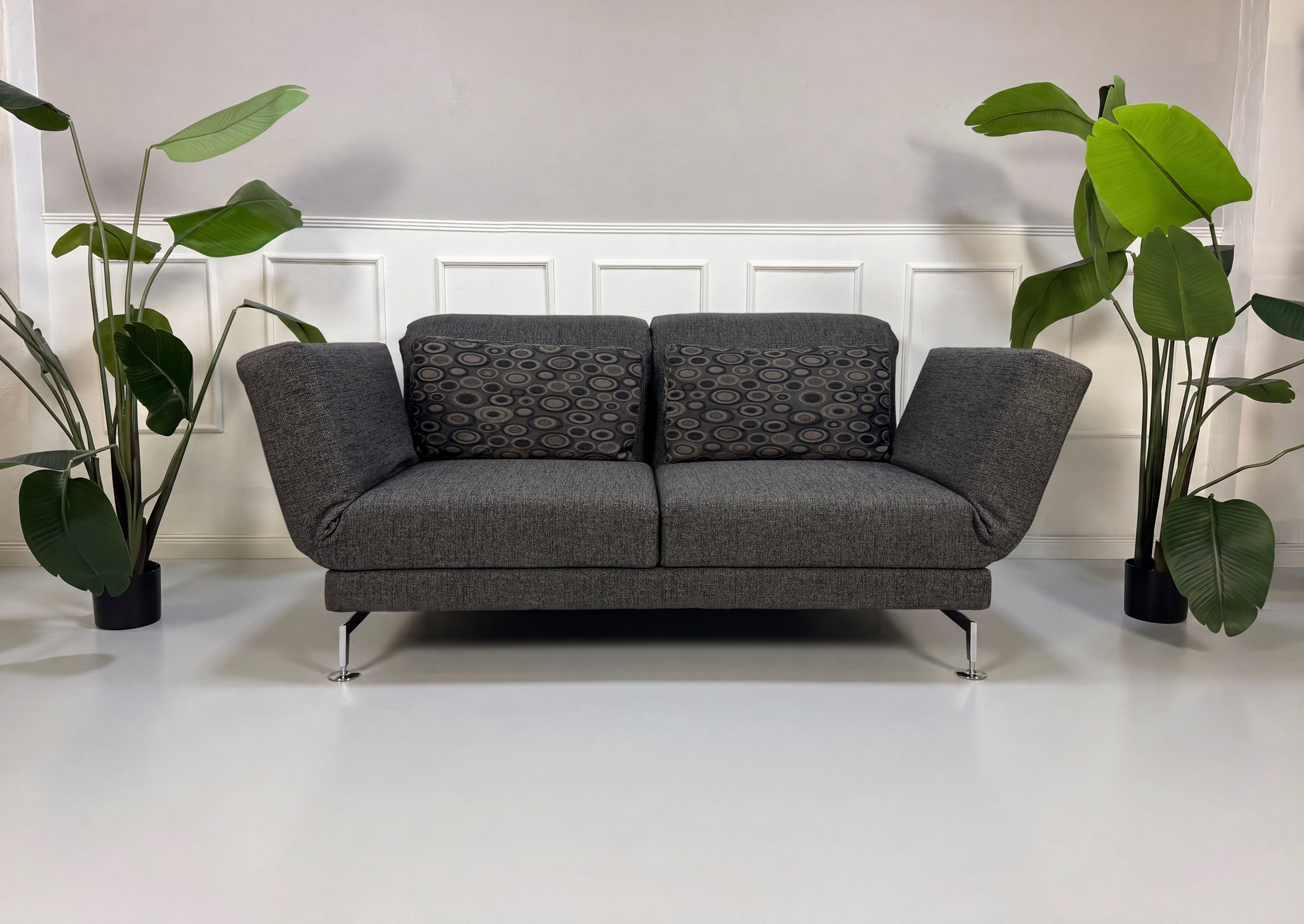 Gebrauchtes graues Brühl Moule Designer Stoff Sofa vor einer Wand, stilvoll und modern eingerichtet.