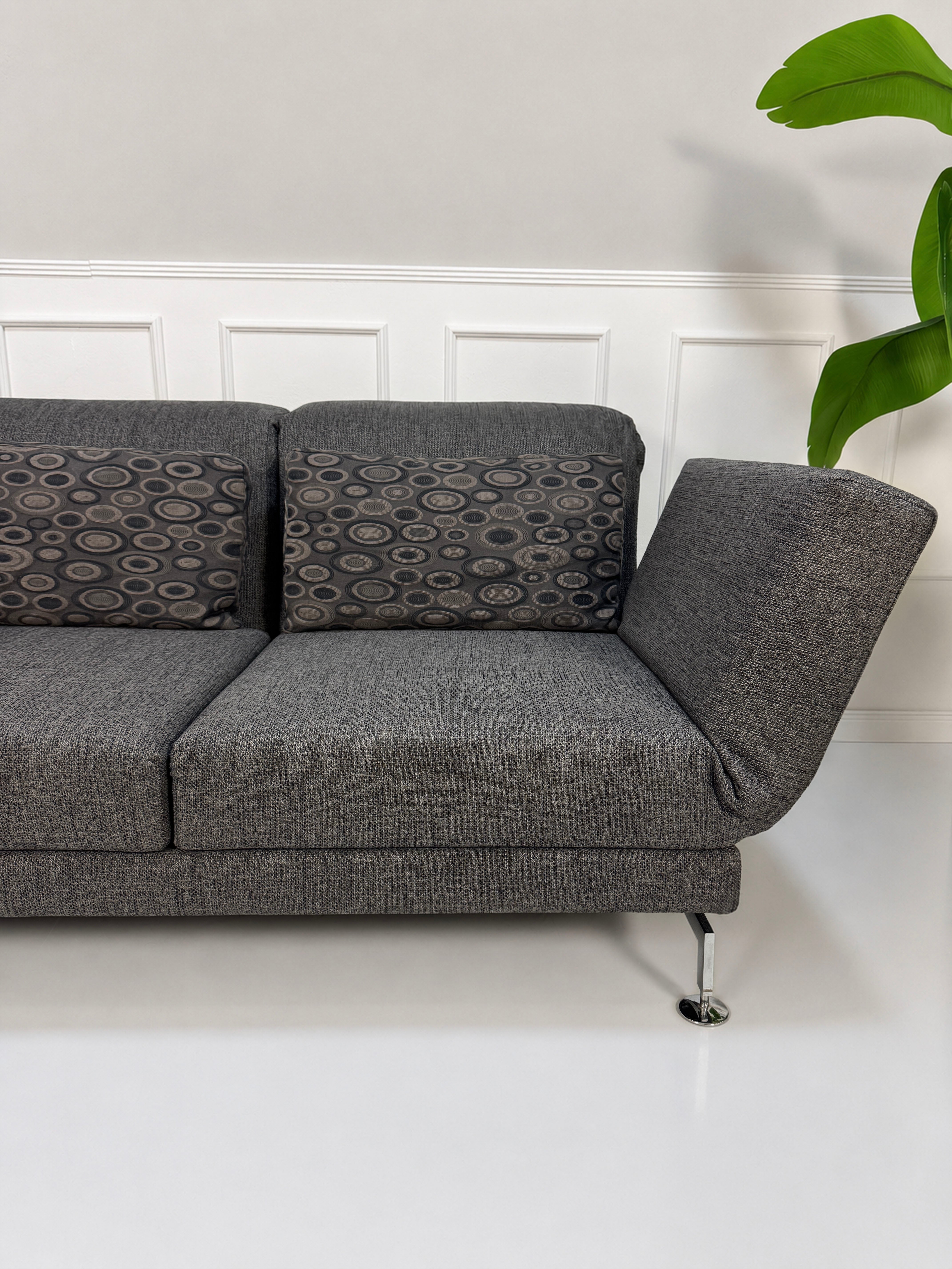 Gebrauchtes graues Brühl Moule Designer Stoff Sofa vor einer Wand, stilvoll und modern eingerichtet.