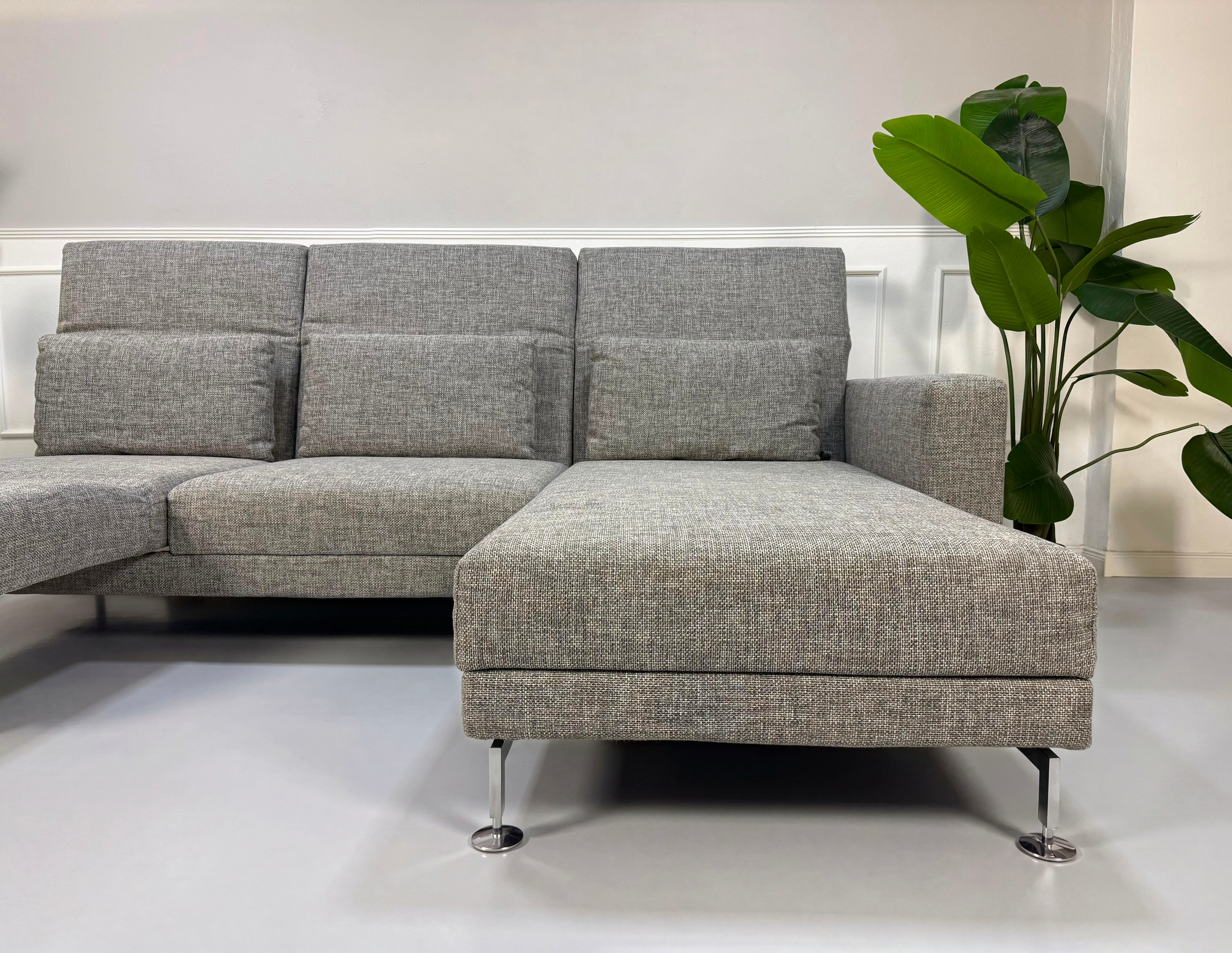 Gebrauchtes graues Brühl Moule Designer Stoff Sofa vor einer Wand, stilvoll und modern eingerichtet.