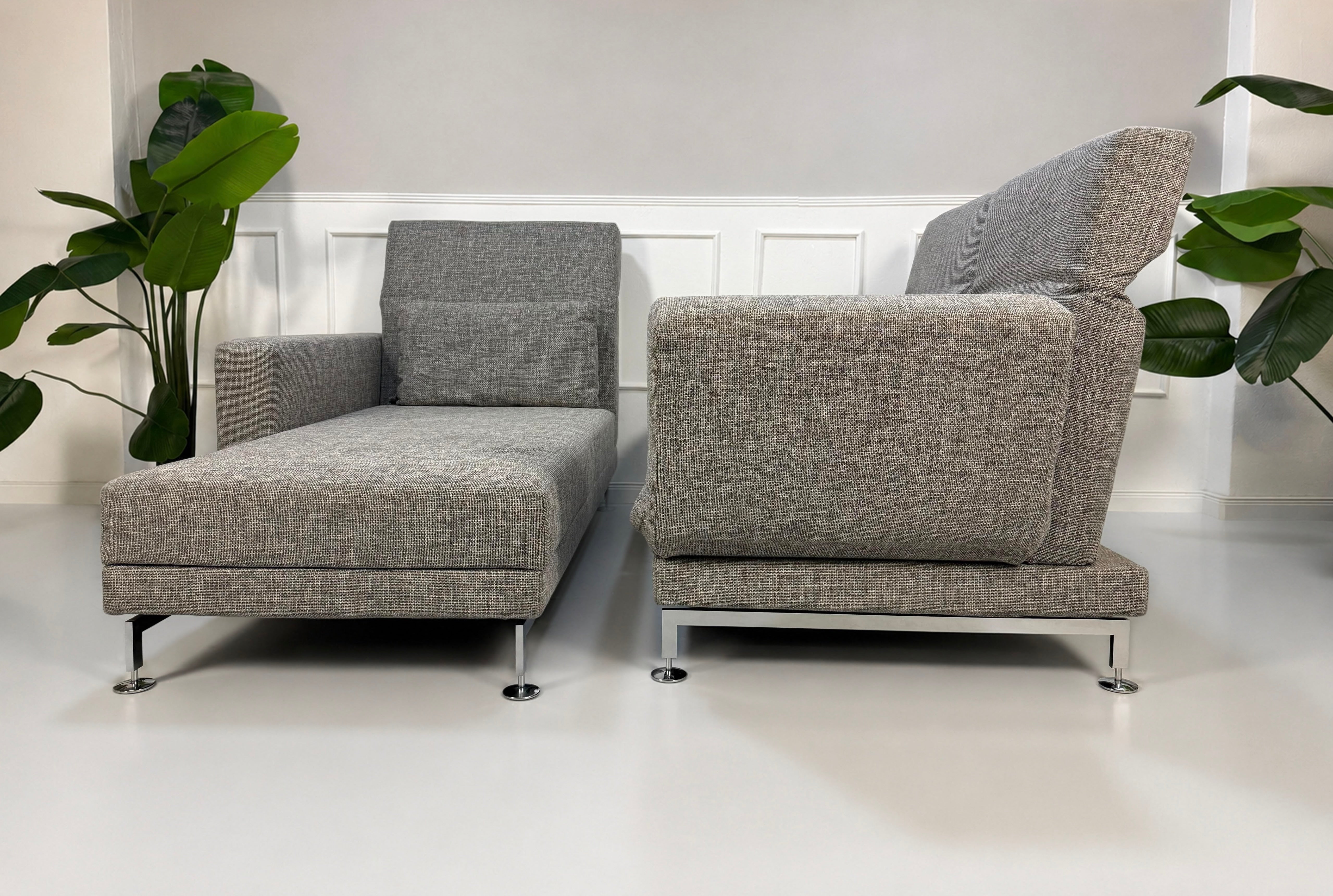 Gebrauchtes graues Brühl Designer Stoff Sofa vor einer Wand, stilvoll und modern eingerichtet.