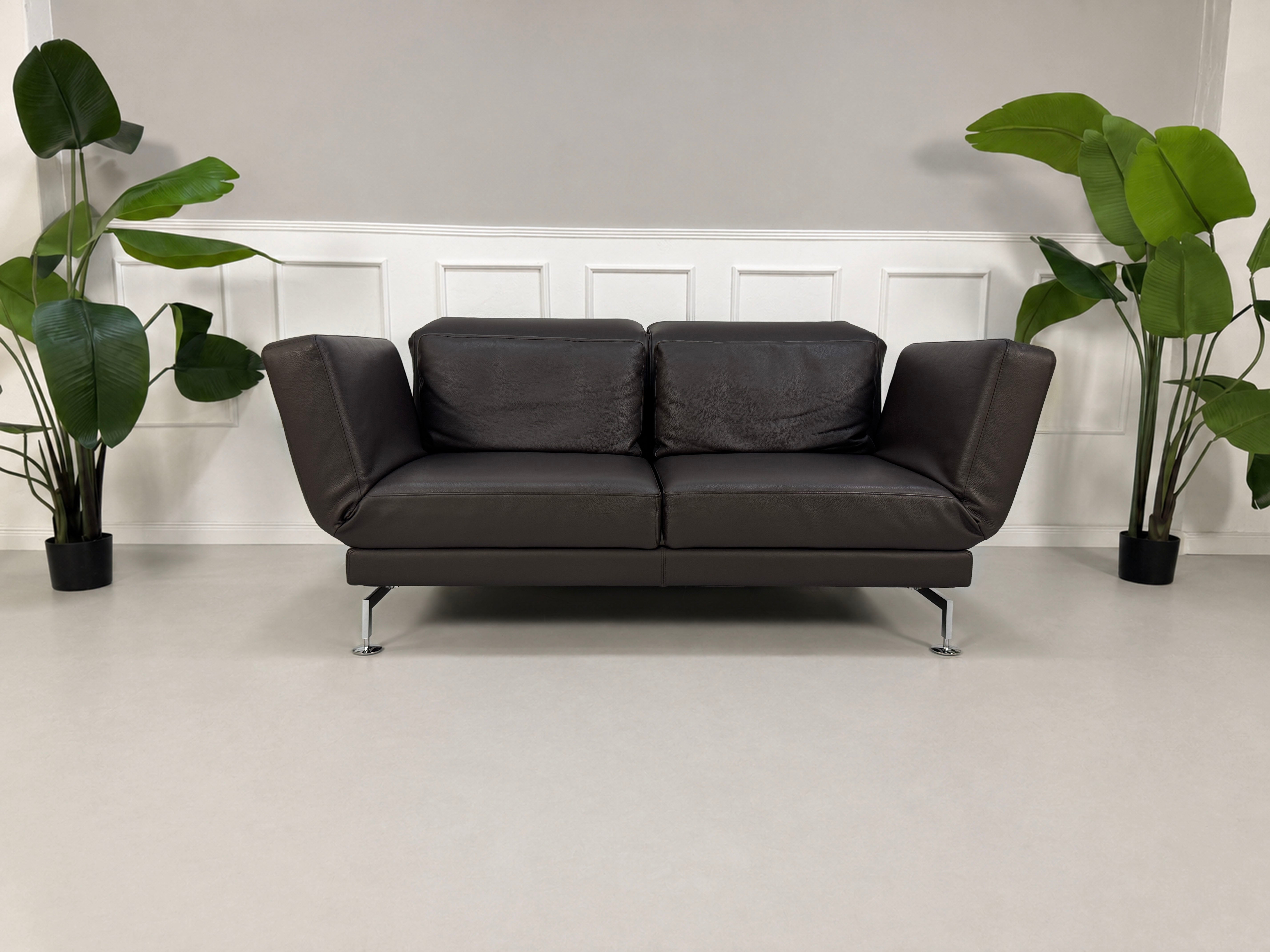 Gebrauchtes braunes Brühl Moule Designer Leder Sofa vor einer Wand, stilvoll und modern eingerichtet.