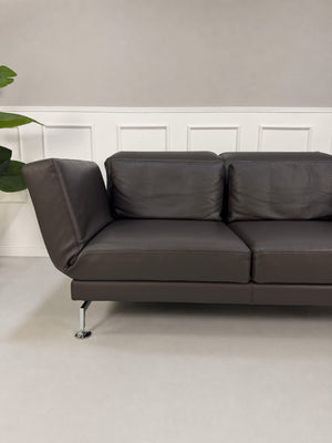 Gebrauchtes braunes Brühl Moule Designer Leder Sofa vor einer Wand, stilvoll und modern eingerichtet.